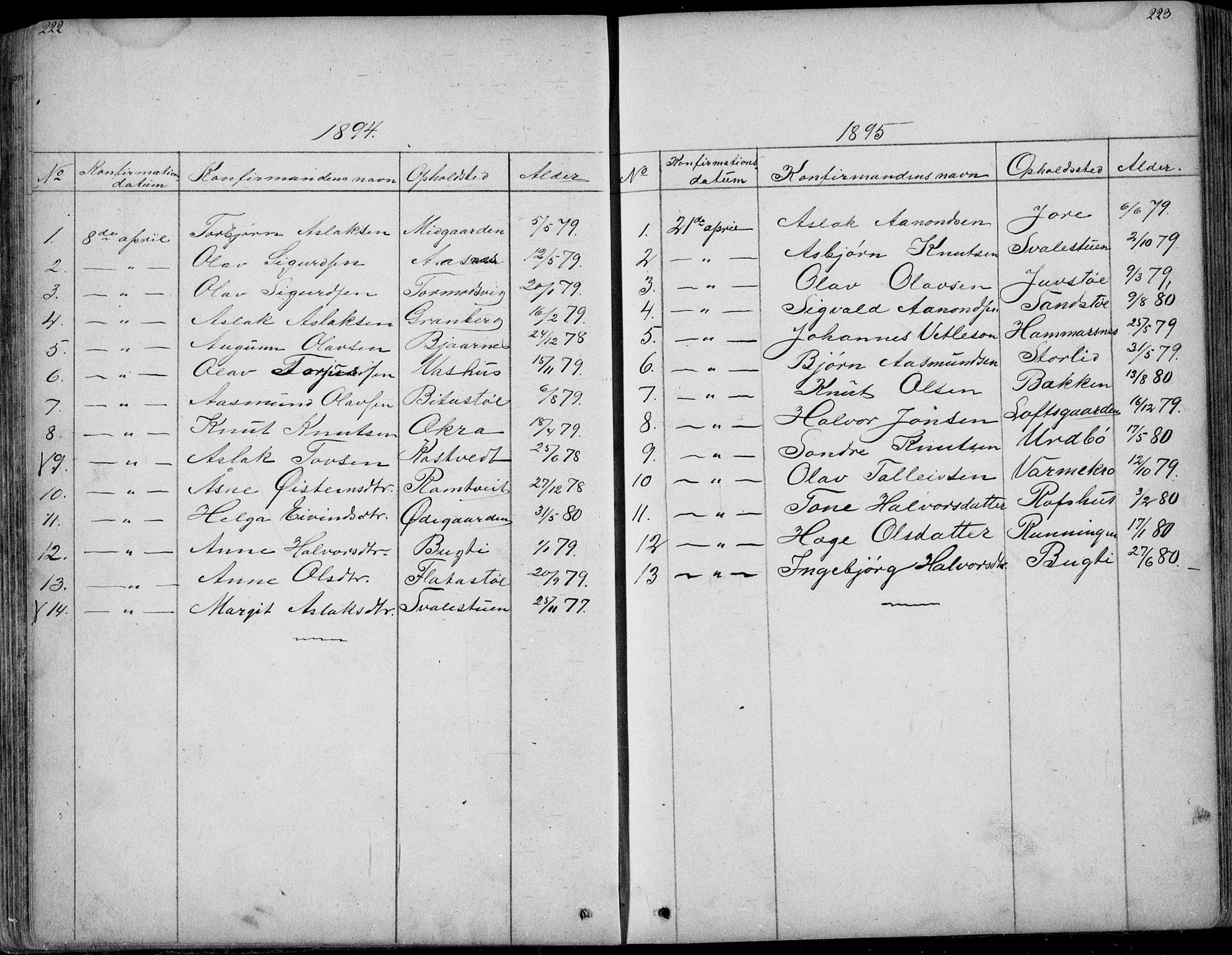 Rauland kirkebøker, AV/SAKO-A-292/G/Ga/L0002: Parish register (copy) no. I 2, 1849-1935, p. 222-223