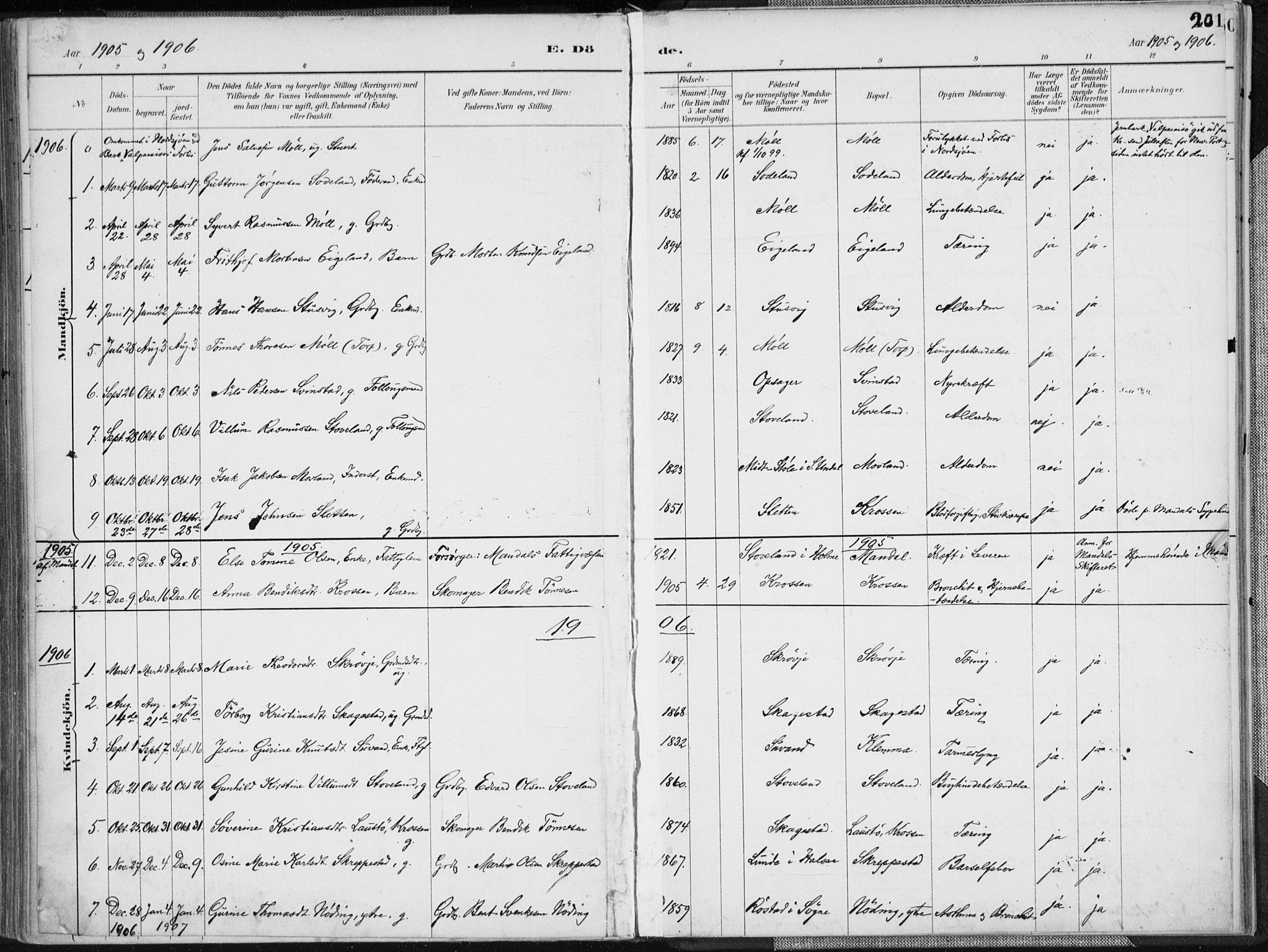 Holum sokneprestkontor, AV/SAK-1111-0022/F/Fa/Faa/L0007: Parish register (official) no. A 7, 1884-1907, p. 201