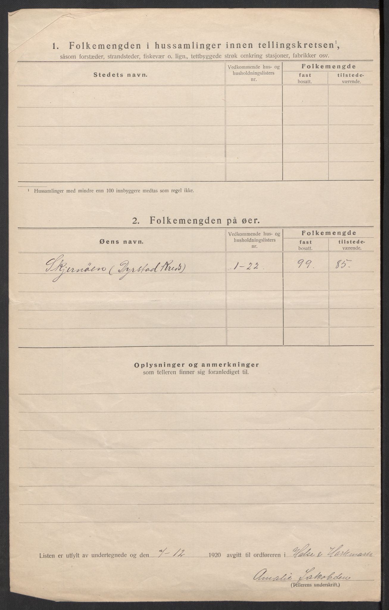 SAK, 1920 census for Halse og Harkmark, 1920, p. 21