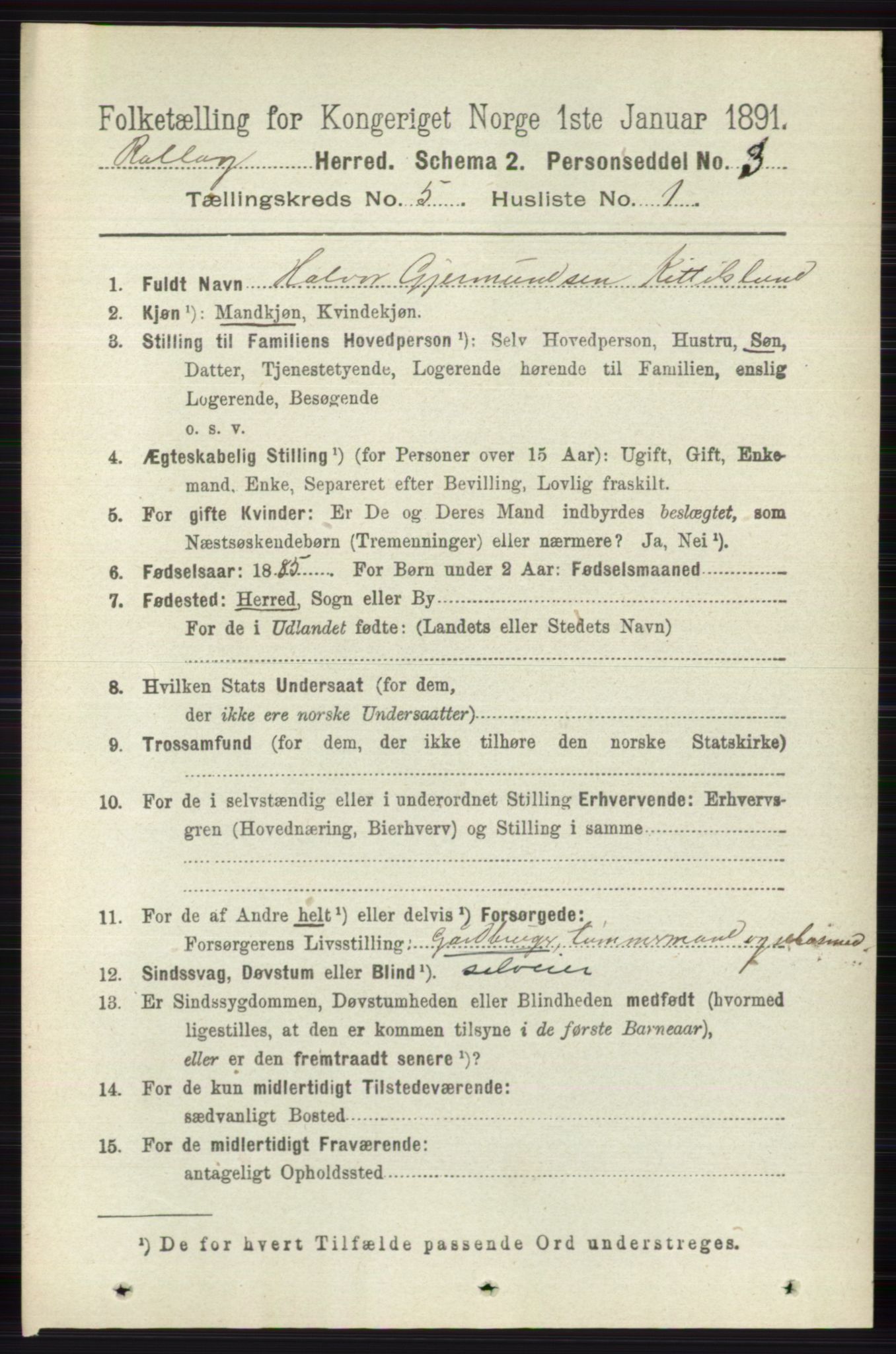 RA, 1891 census for 0632 Rollag, 1891, p. 1685