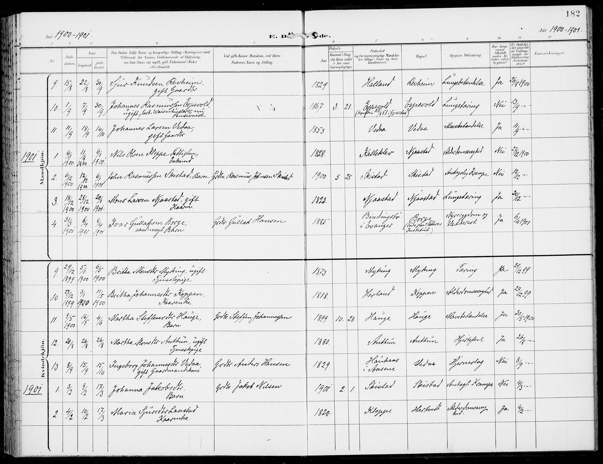 Haus sokneprestembete, AV/SAB-A-75601/H/Haa: Parish register (official) no. C  2, 1900-1915, p. 182