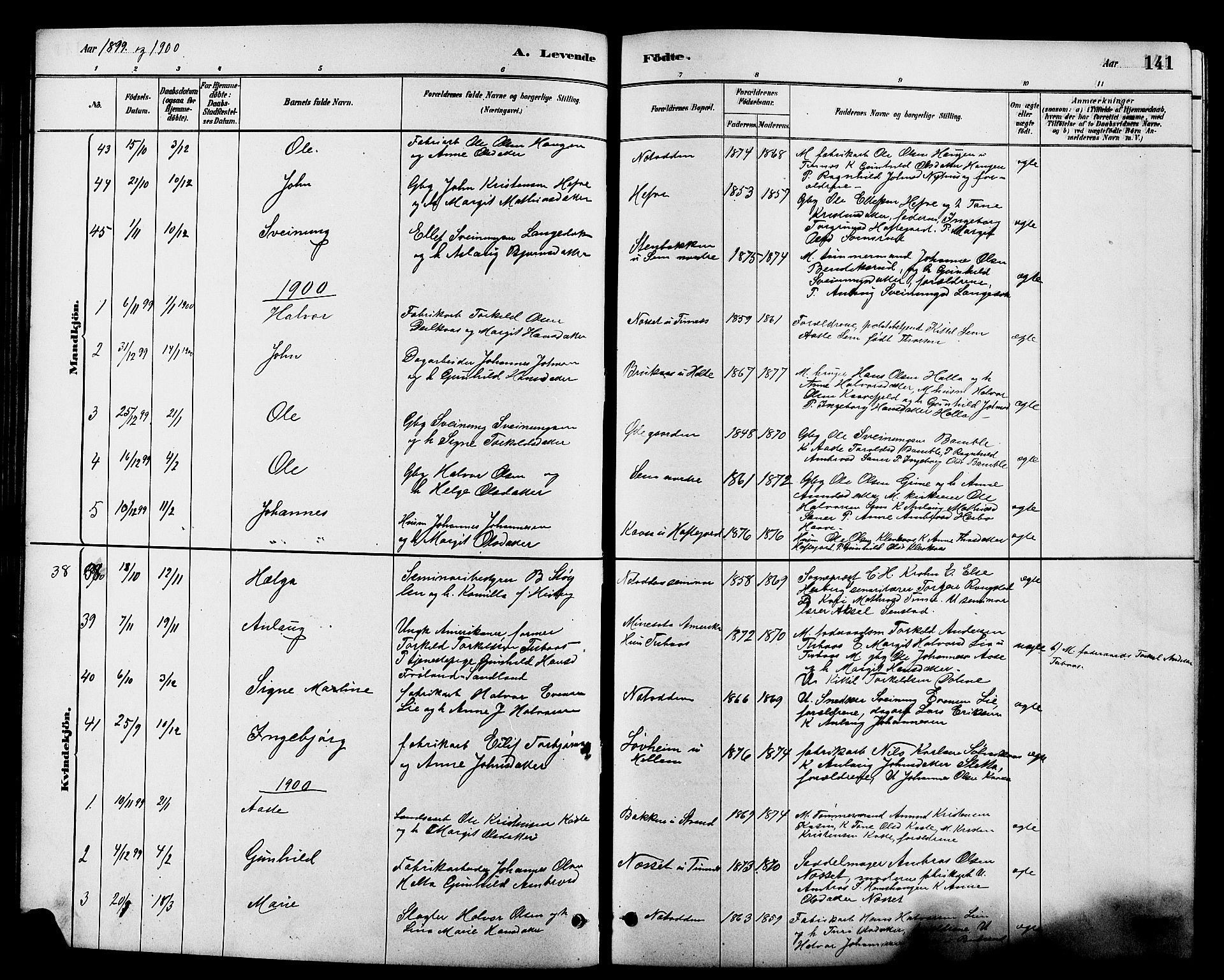 Heddal kirkebøker, SAKO/A-268/G/Ga/L0002: Parish register (copy) no. I 2, 1879-1908, p. 141