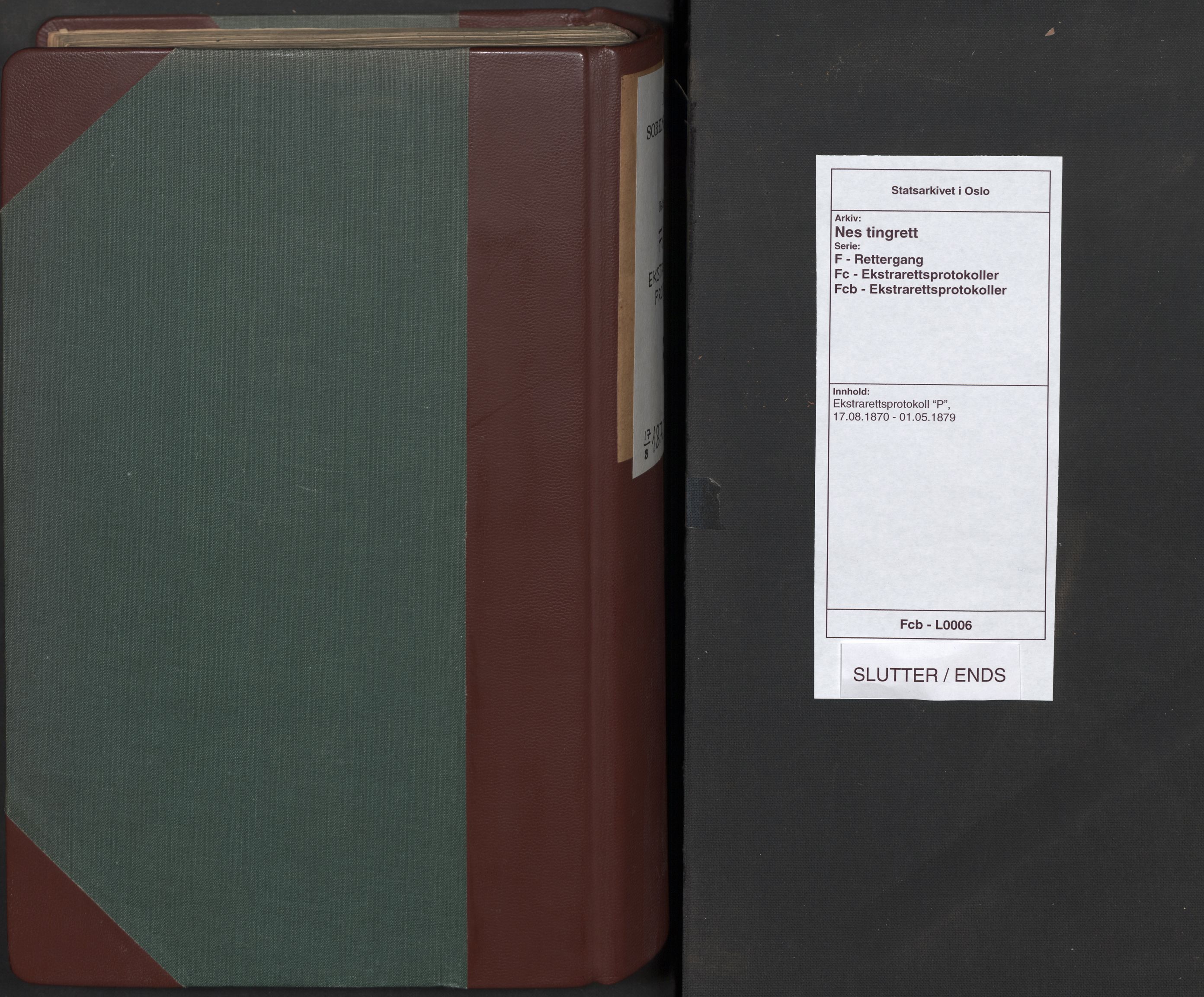 Nes tingrett, AV/SAO-A-10548/F/Fc/Fcb/L0006: Ekstrarettsprotokoll "P", 1870-1879