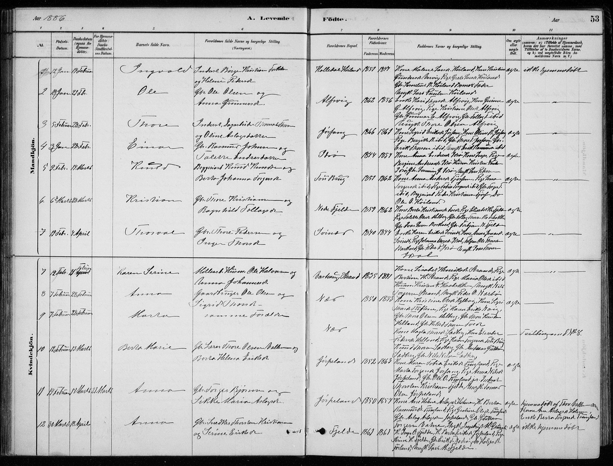 Strand sokneprestkontor, SAST/A-101828/H/Ha/Hab/L0004: Parish register (copy) no. B 4, 1878-1903, p. 53