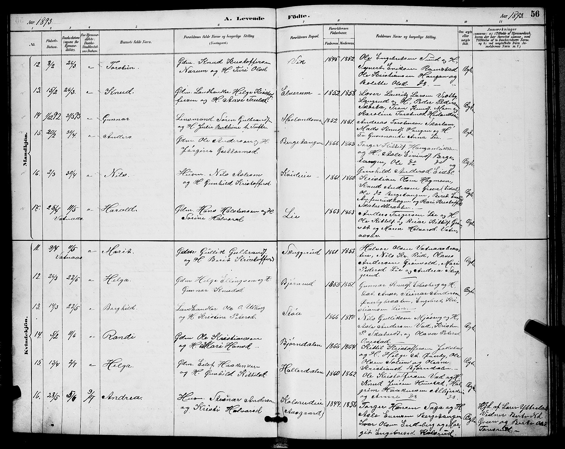 Sigdal kirkebøker, AV/SAKO-A-245/G/Ga/L0005: Parish register (copy) no. I 5, 1886-1900, p. 56