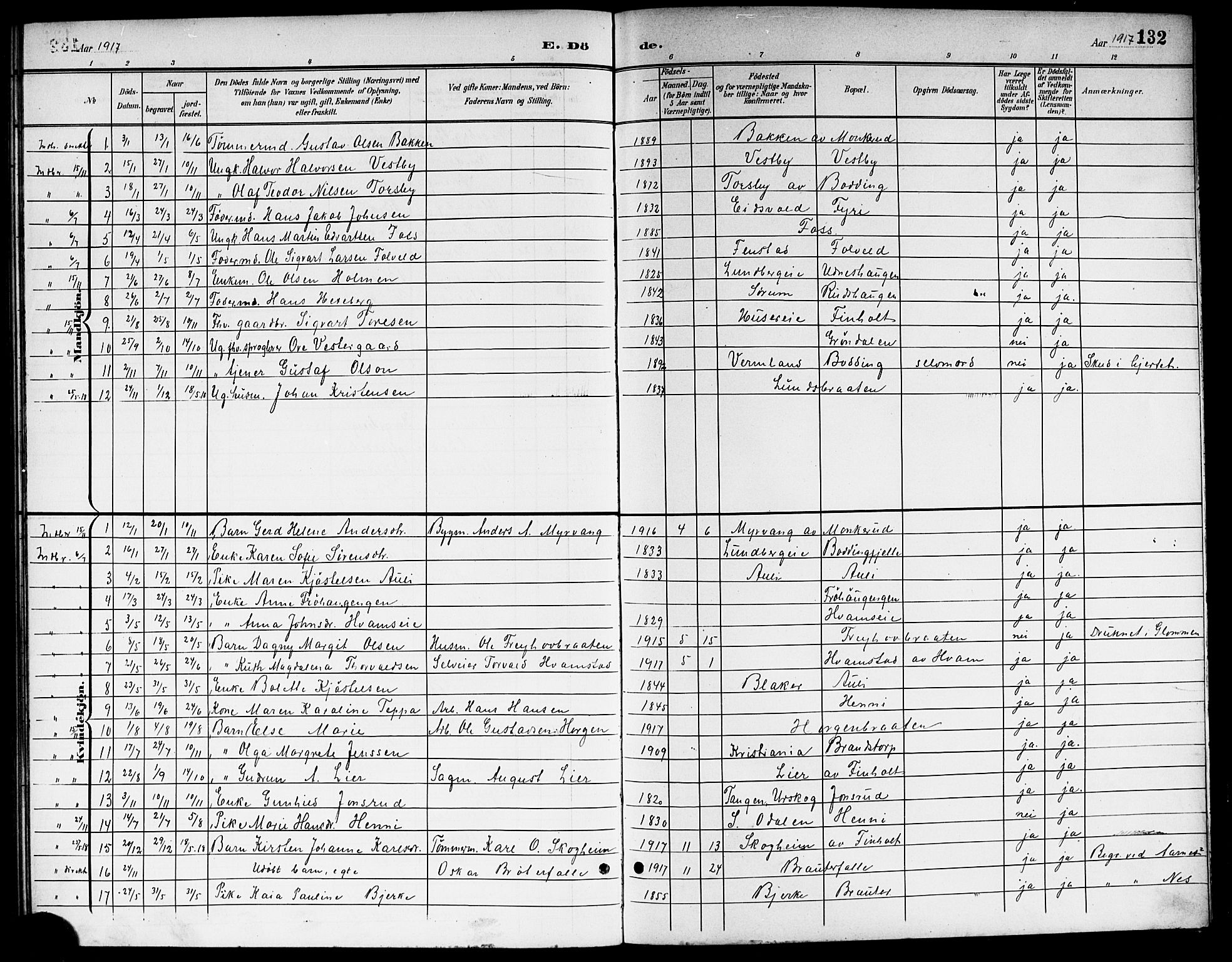 Nes prestekontor Kirkebøker, AV/SAO-A-10410/G/Gb/L0001: Parish register (copy) no. II 1, 1901-1917, p. 132