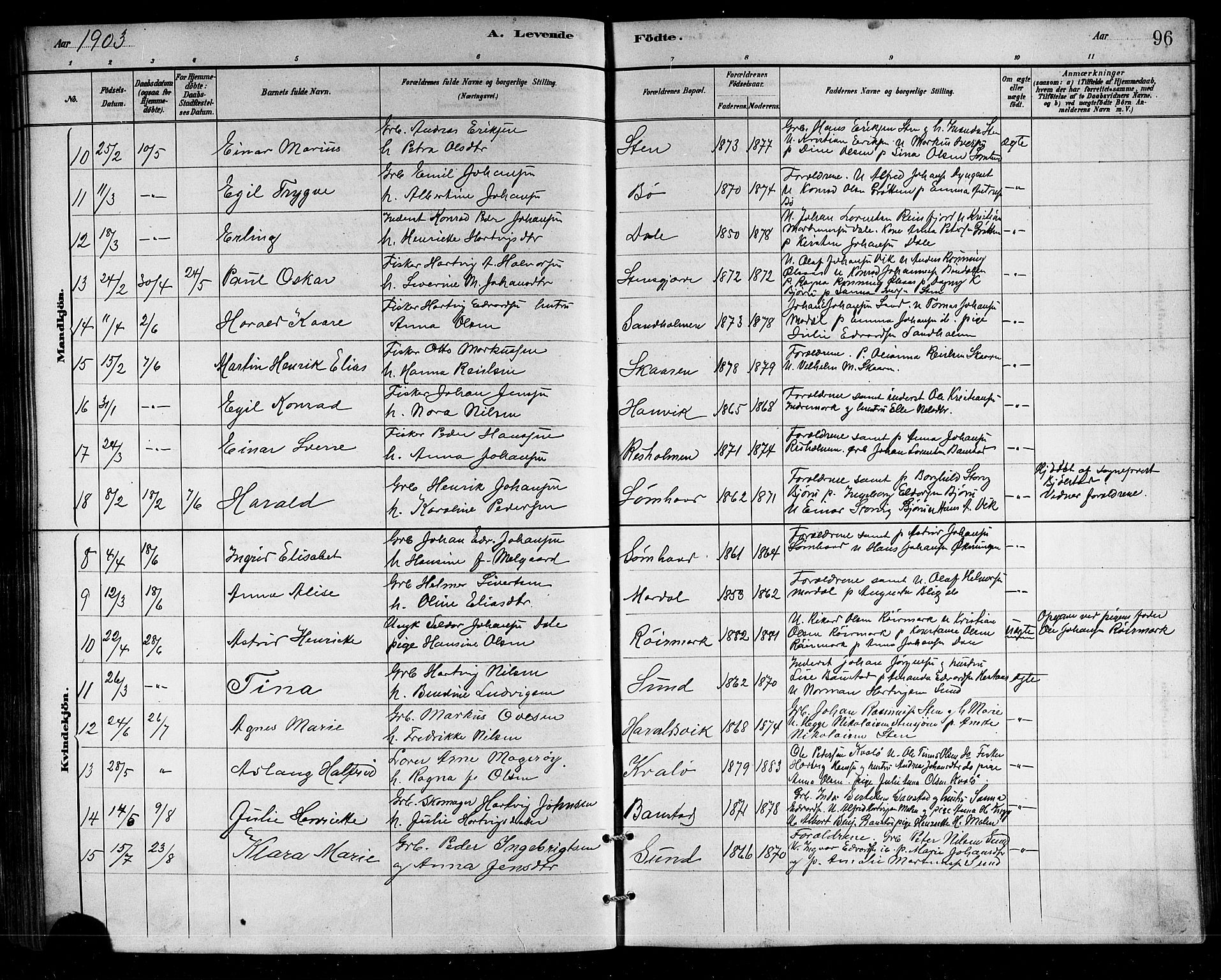 Ministerialprotokoller, klokkerbøker og fødselsregistre - Nordland, SAT/A-1459/812/L0188: Parish register (copy) no. 812C06, 1884-1912, p. 96