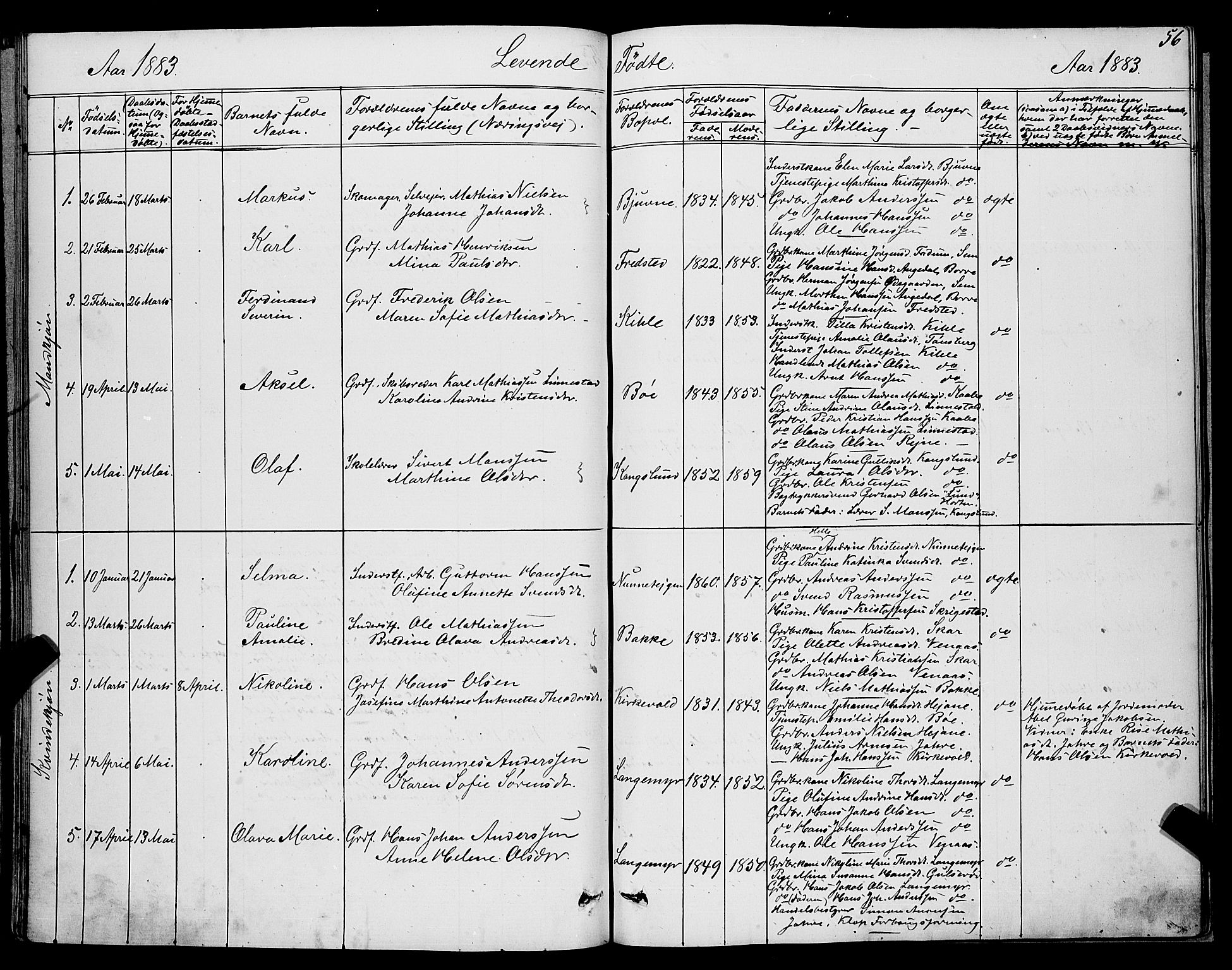 Ramnes kirkebøker, AV/SAKO-A-314/G/Ga/L0003: Parish register (copy) no. I 3, 1870-1896, p. 56