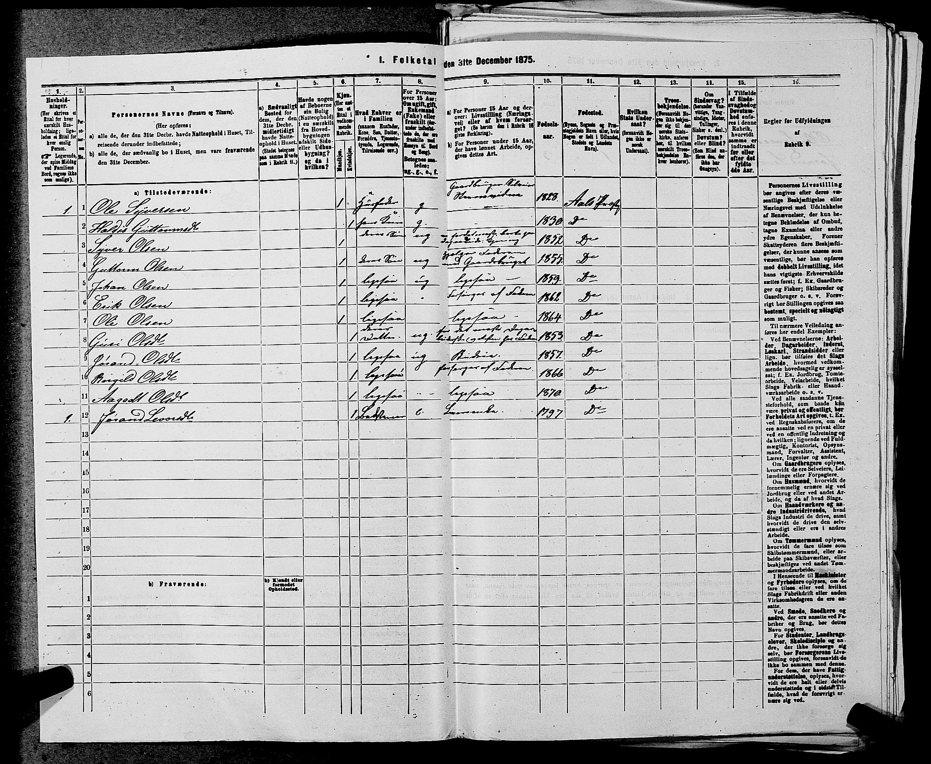 SAKO, 1875 census for 0619P Ål, 1875, p. 865