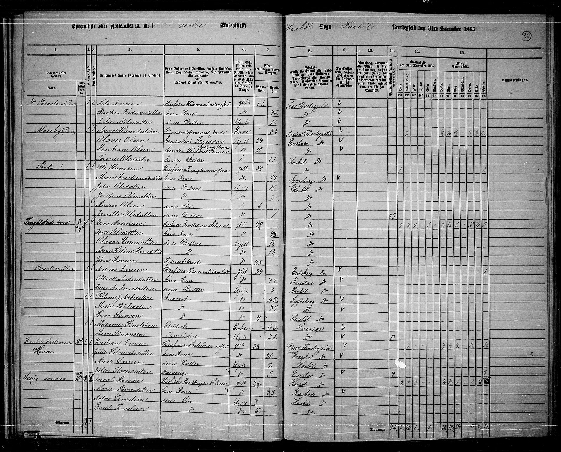 RA, 1865 census for Hobøl, 1865, p. 31