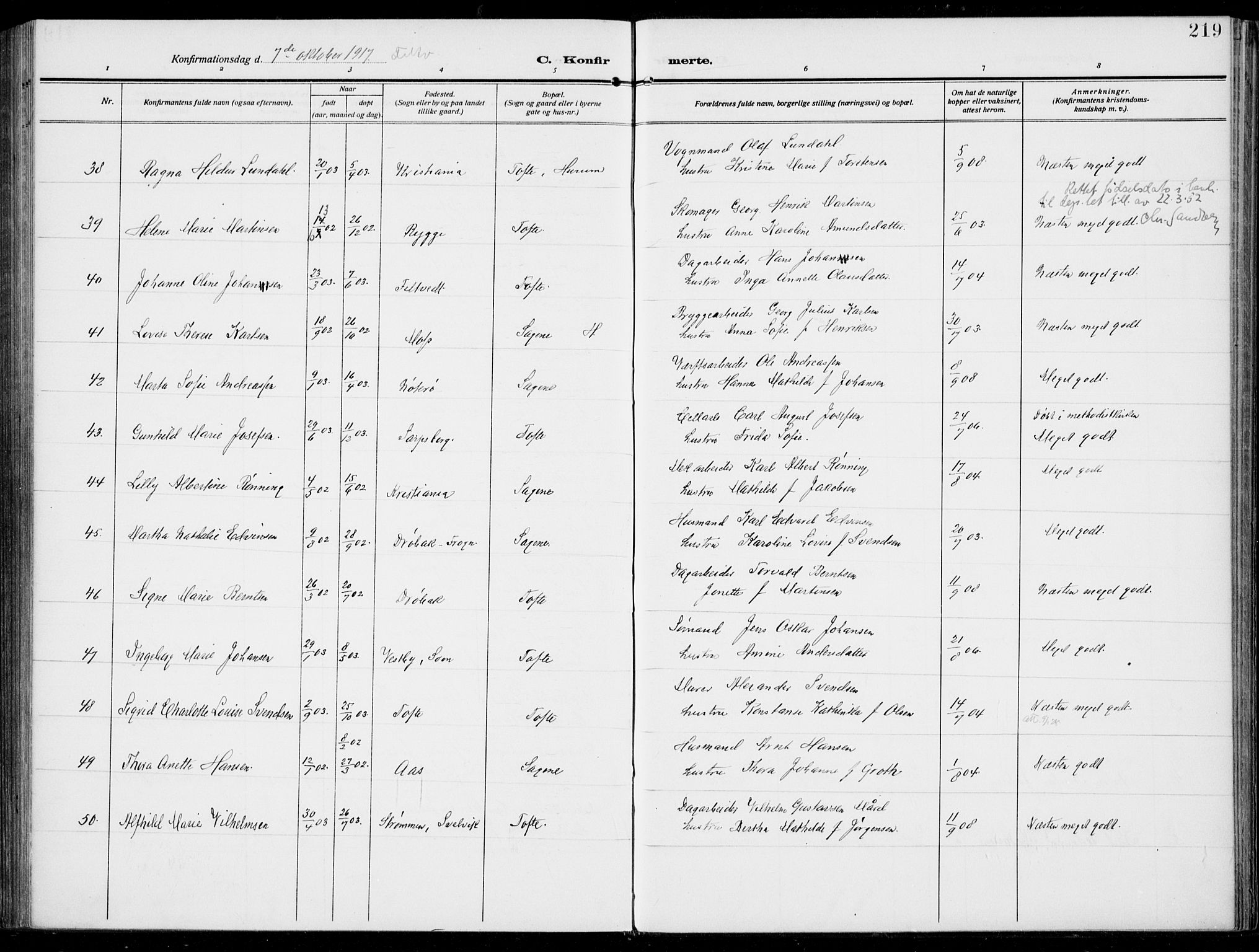 Hurum kirkebøker, SAKO/A-229/F/Fa/L0016: Parish register (official) no. 16, 1899-1918, p. 219