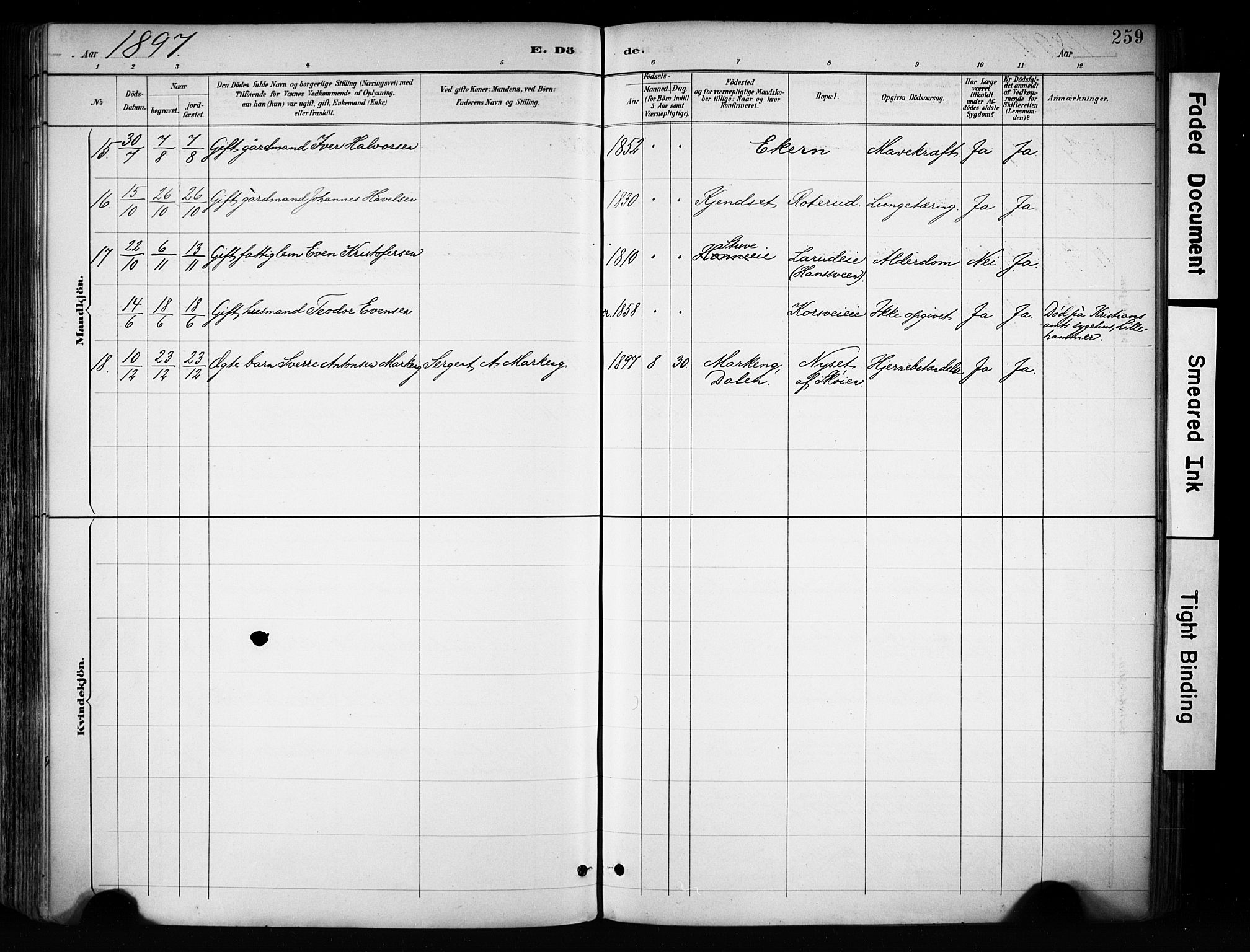 Biri prestekontor, AV/SAH-PREST-096/H/Ha/Haa/L0009: Parish register (official) no. 9, 1887-1900, p. 259