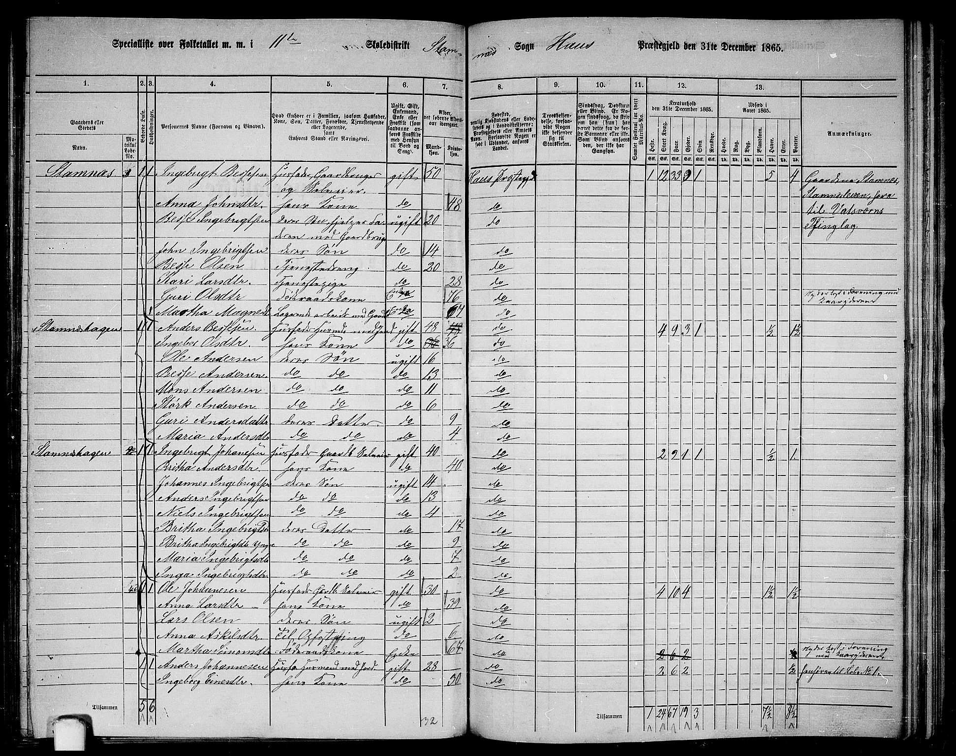 RA, 1865 census for Haus, 1865, p. 216