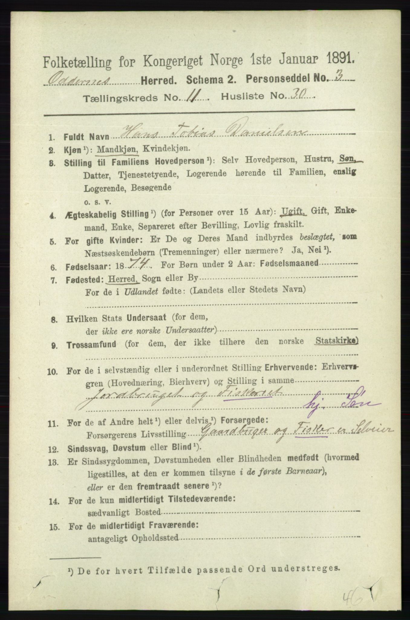 RA, 1891 census for 1012 Oddernes, 1891, p. 4300