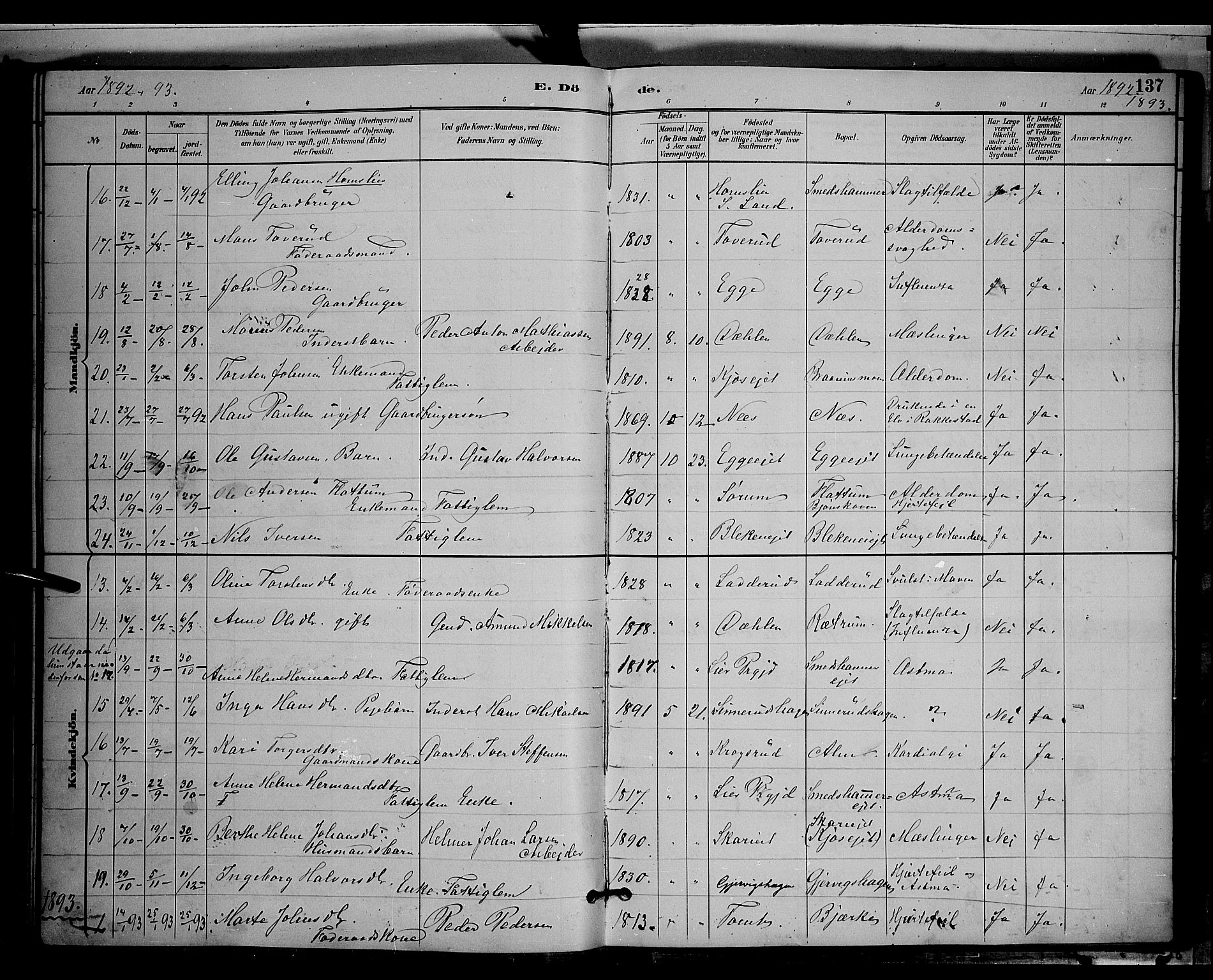 Gran prestekontor, SAH/PREST-112/H/Ha/Hab/L0004: Parish register (copy) no. 4, 1890-1899, p. 137