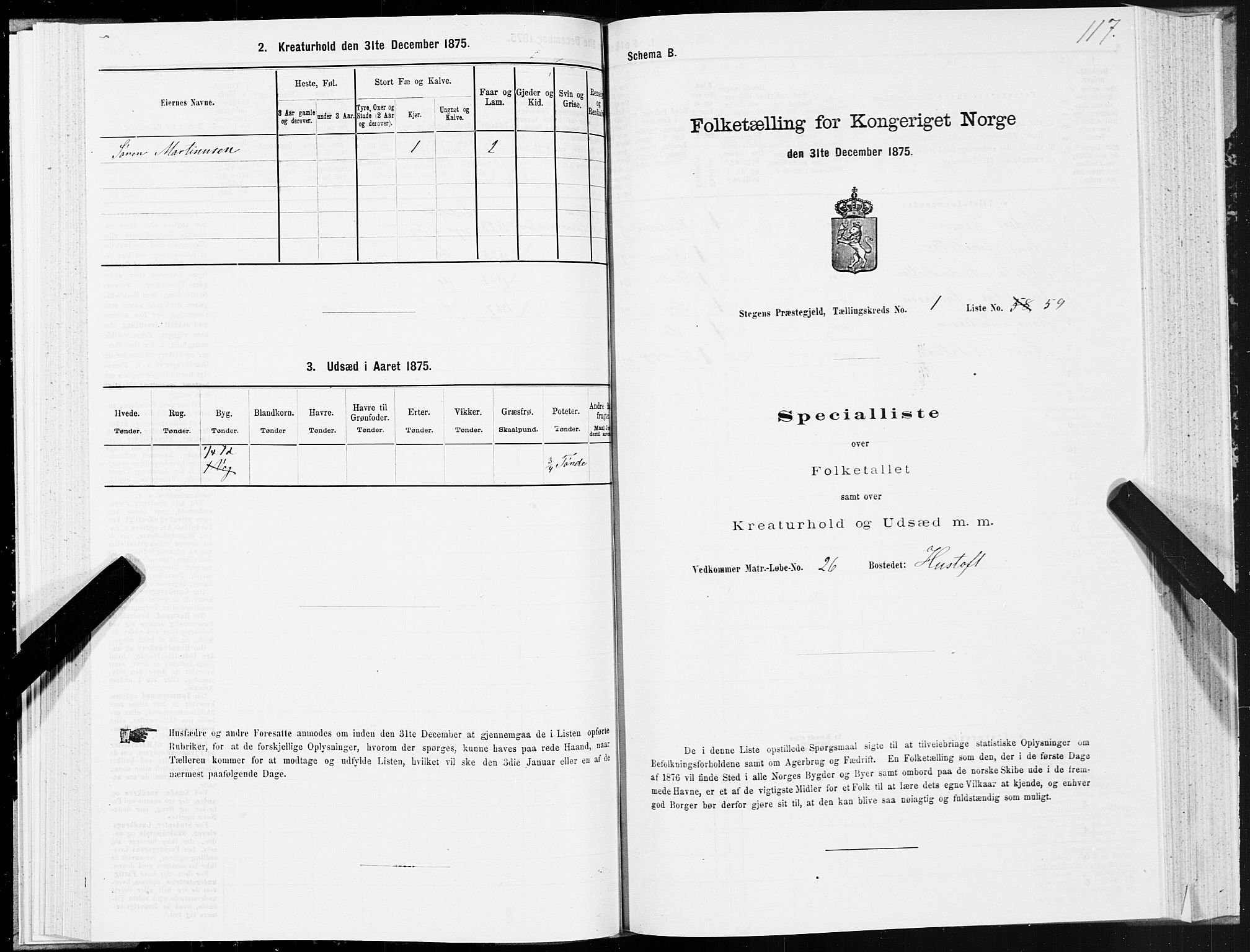 SAT, 1875 census for 1848P Steigen, 1875, p. 1117