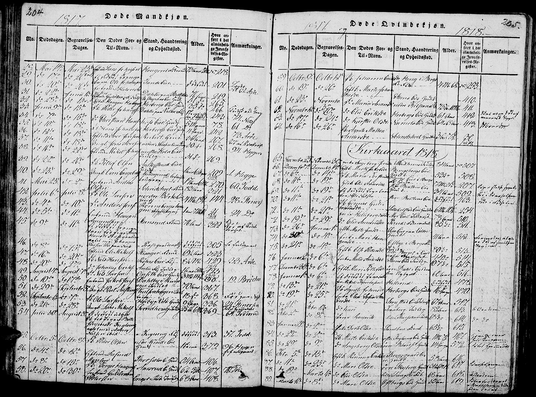 Ringsaker prestekontor, AV/SAH-PREST-014/L/La/L0001: Parish register (copy) no. 1, 1814-1826, p. 204-205