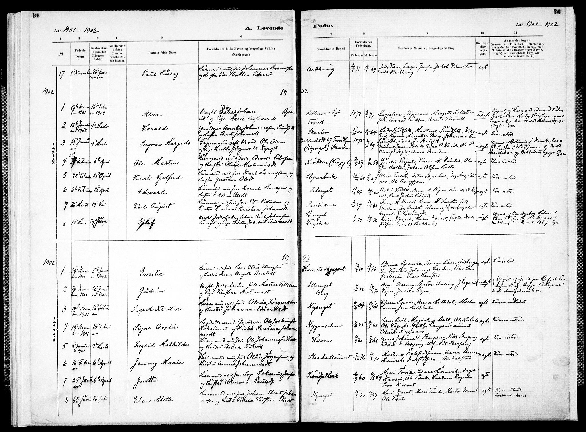 Ministerialprotokoller, klokkerbøker og fødselsregistre - Nord-Trøndelag, SAT/A-1458/733/L0325: Parish register (official) no. 733A04, 1884-1908, p. 36
