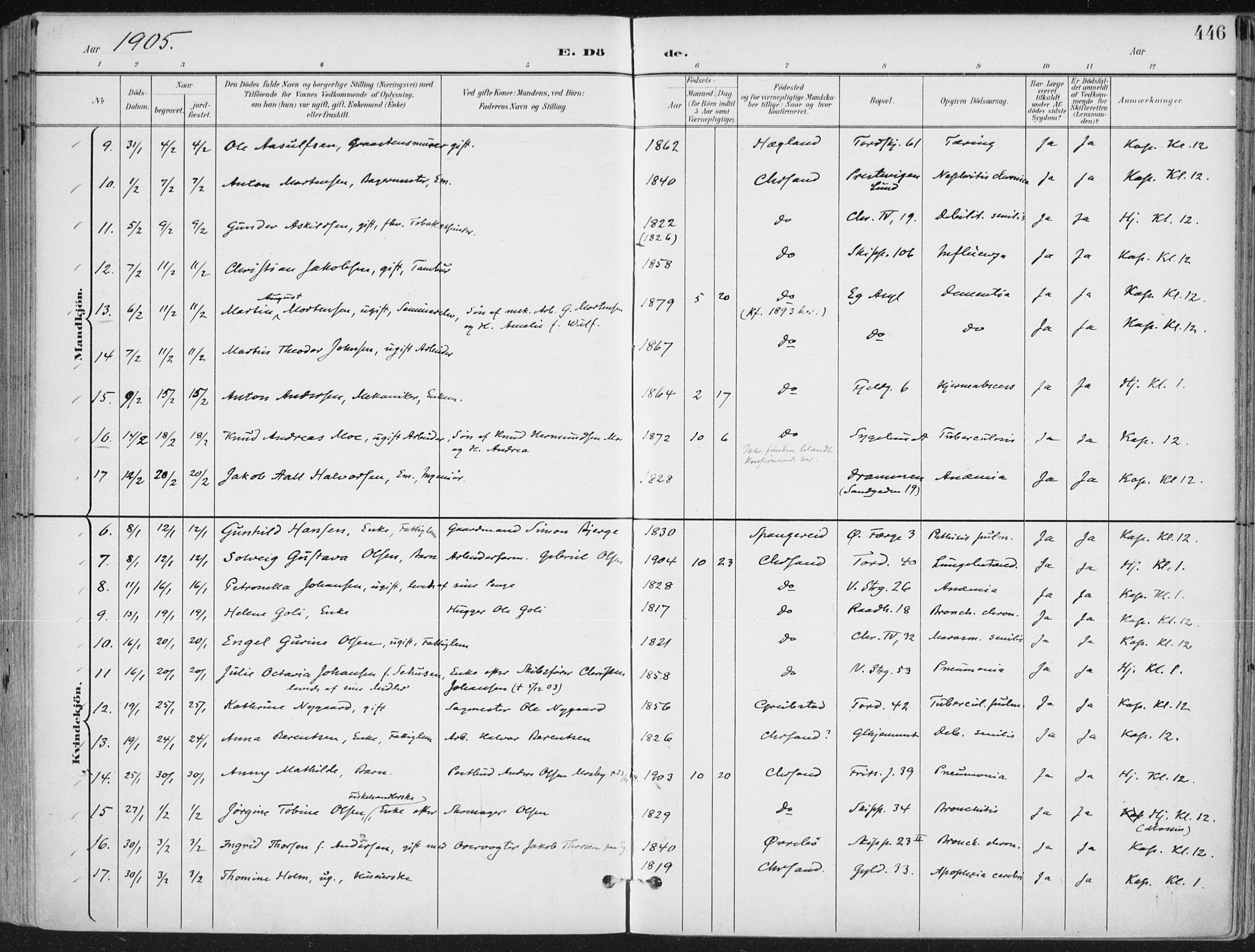 Kristiansand domprosti, SAK/1112-0006/F/Fa/L0021: Parish register (official) no. A 20, 1898-1908, p. 446