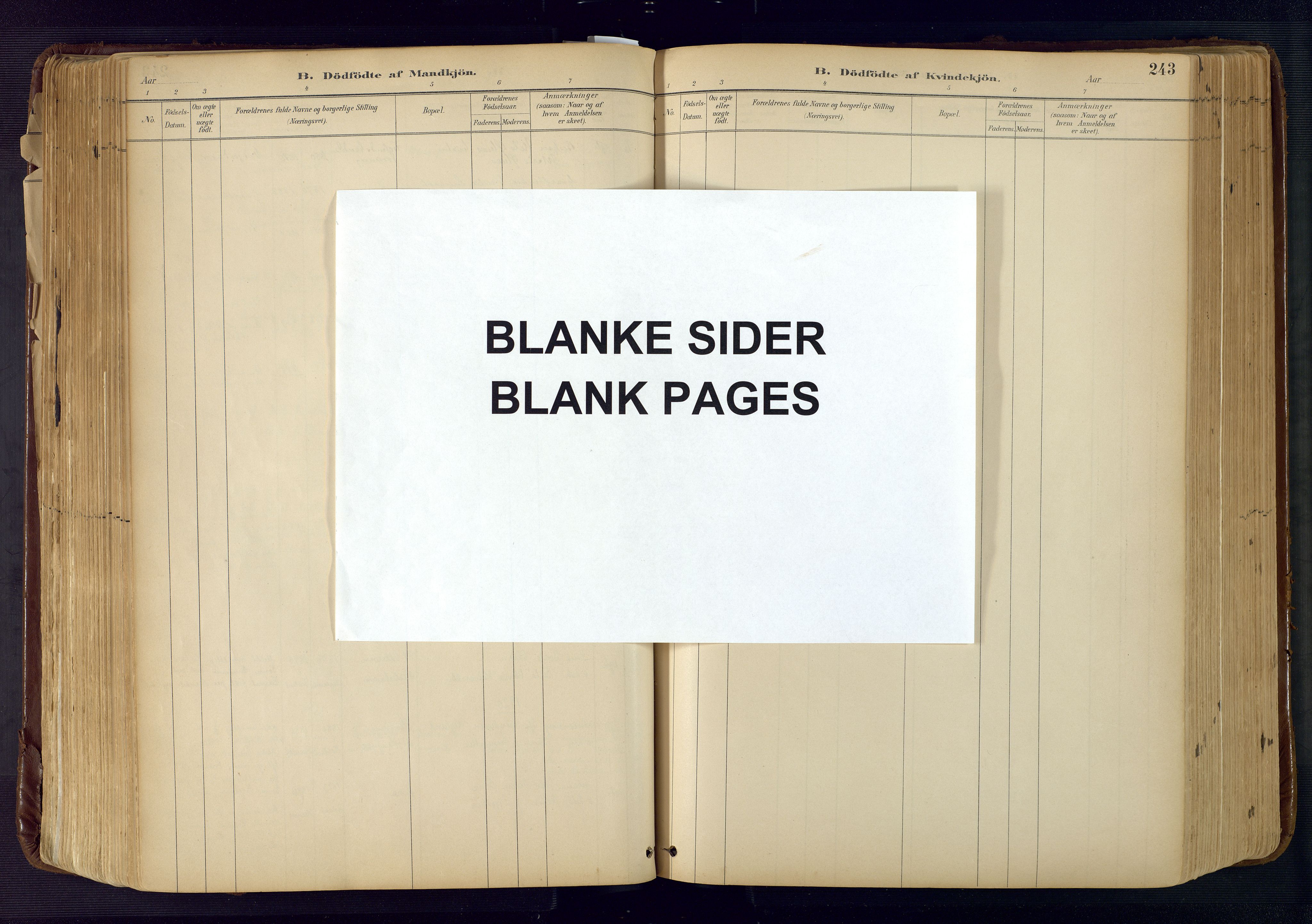 Froland sokneprestkontor, AV/SAK-1111-0013/F/Fa/L0005: Parish register (official) no. A 5, 1882-1921, p. 243