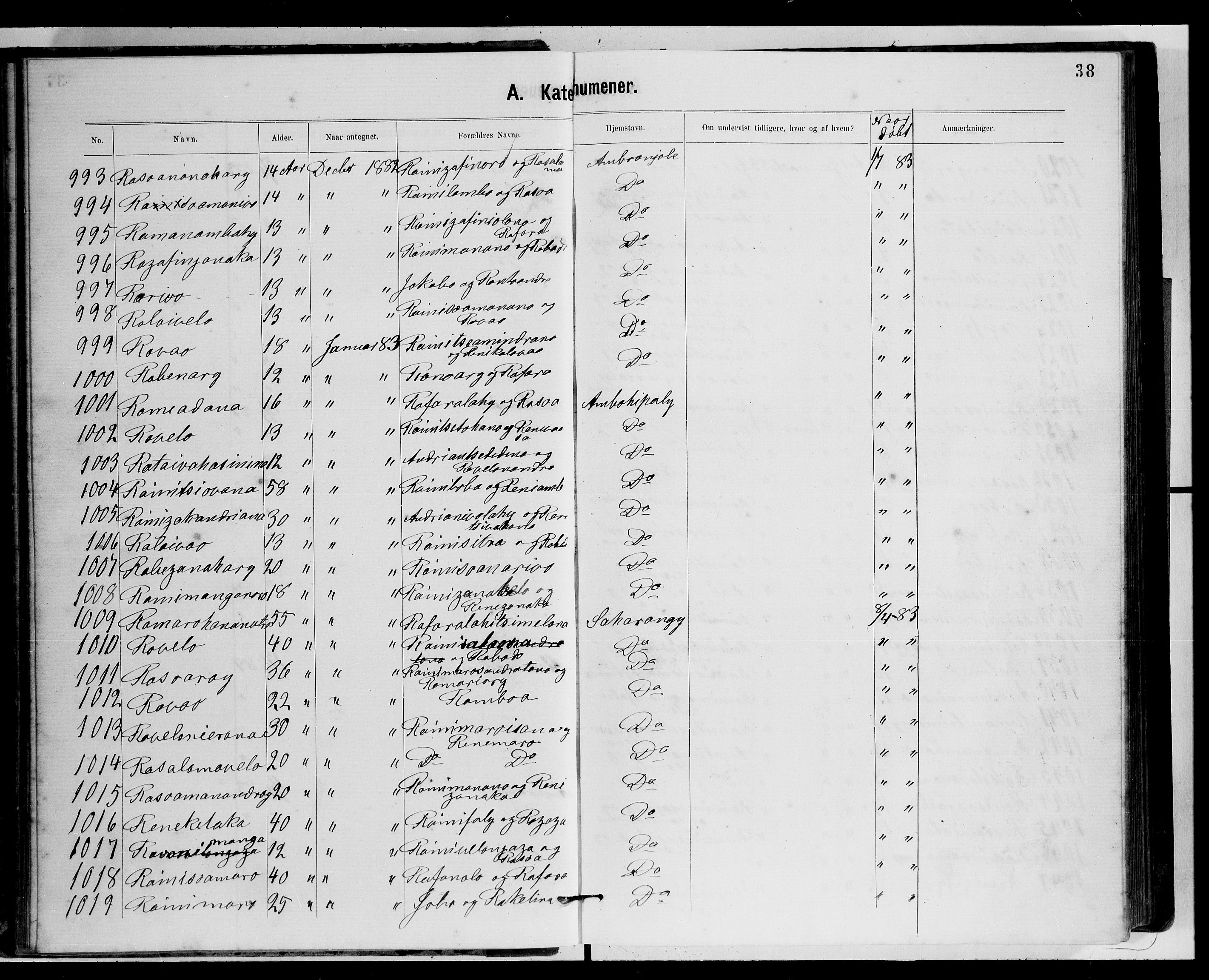 Archives FLM/NMS, Madagaskar, VID/MA-A-1163/D/Db/L0269: Parish register (official) no. 1, 1867-1884, p. 38