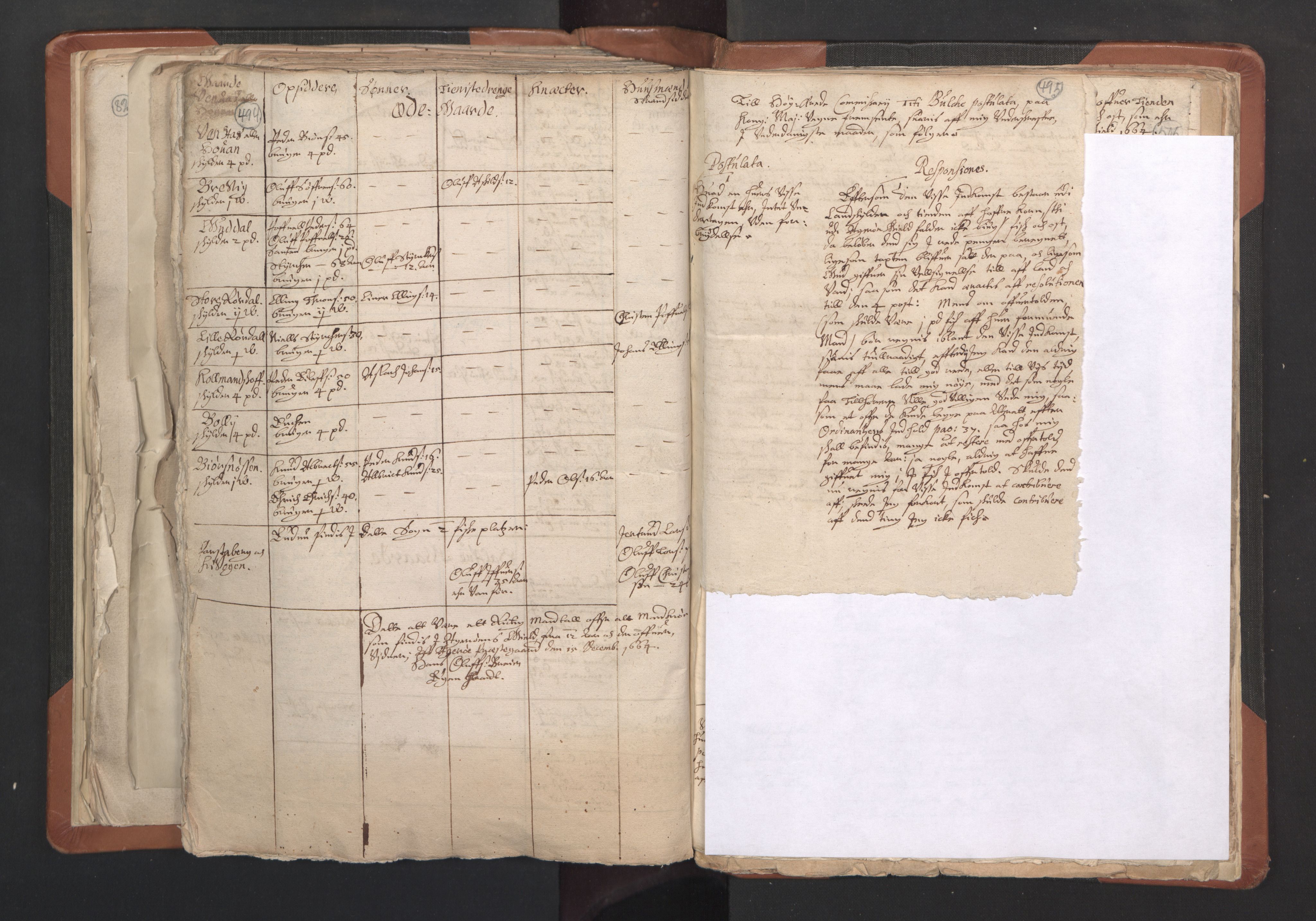 RA, Vicar's Census 1664-1666, no. 27: Romsdal deanery, 1664-1666, p. 494-495