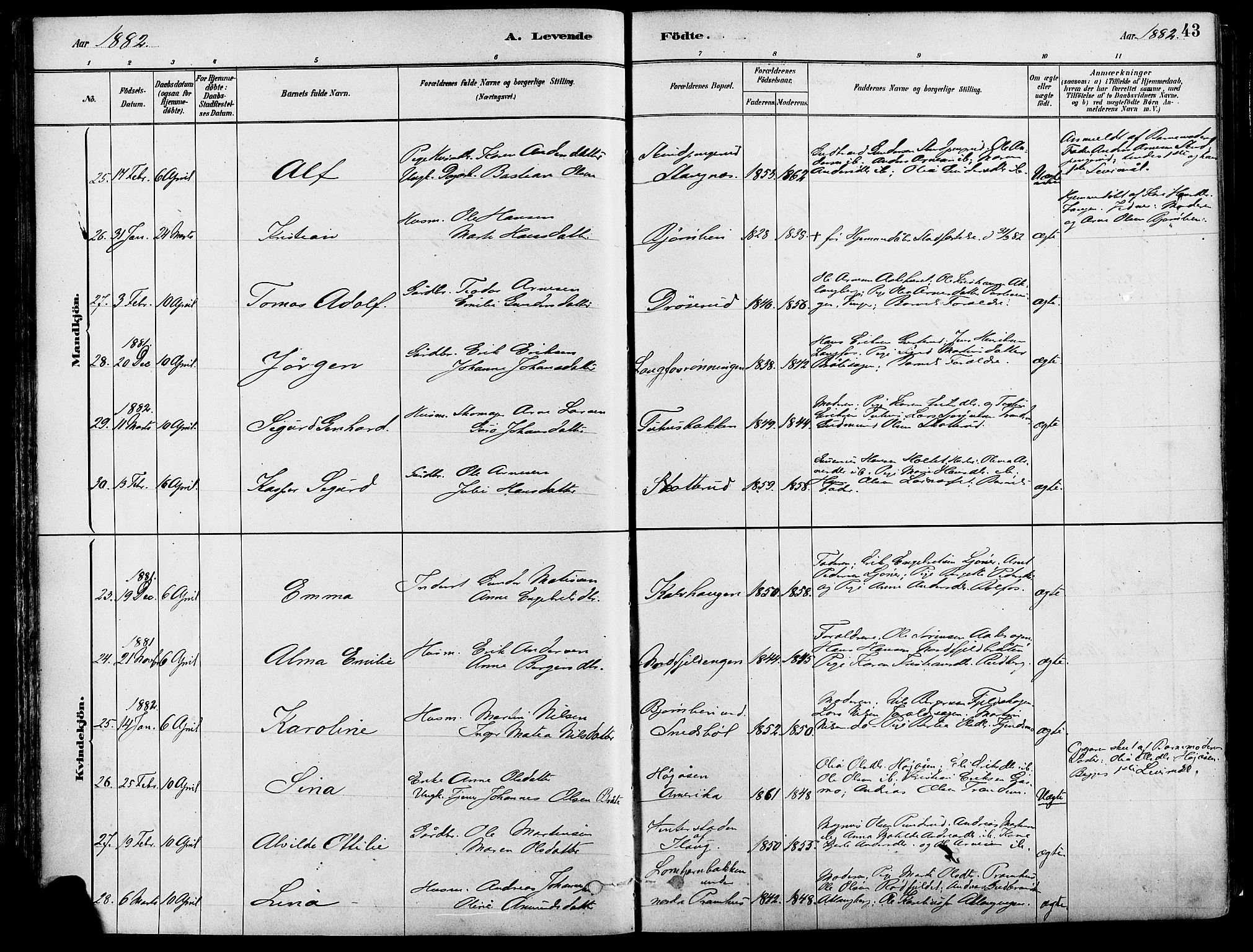 Eidskog prestekontor, SAH/PREST-026/H/Ha/Haa/L0003: Parish register (official) no. 3, 1879-1892, p. 43