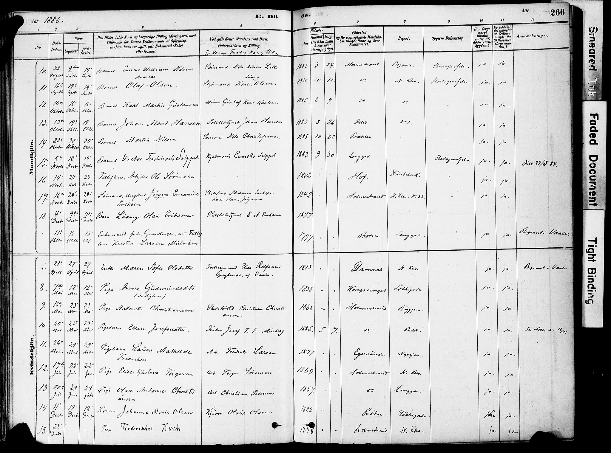 Holmestrand kirkebøker, AV/SAKO-A-346/F/Fa/L0004: Parish register (official) no. 4, 1880-1901, p. 266