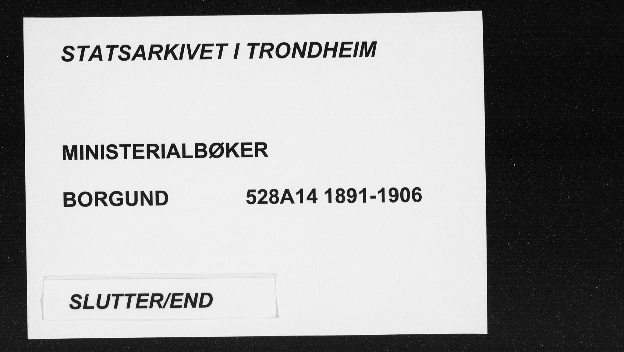 Ministerialprotokoller, klokkerbøker og fødselsregistre - Møre og Romsdal, AV/SAT-A-1454/528/L0405: Parish register (official) no. 528A14, 1891-1906