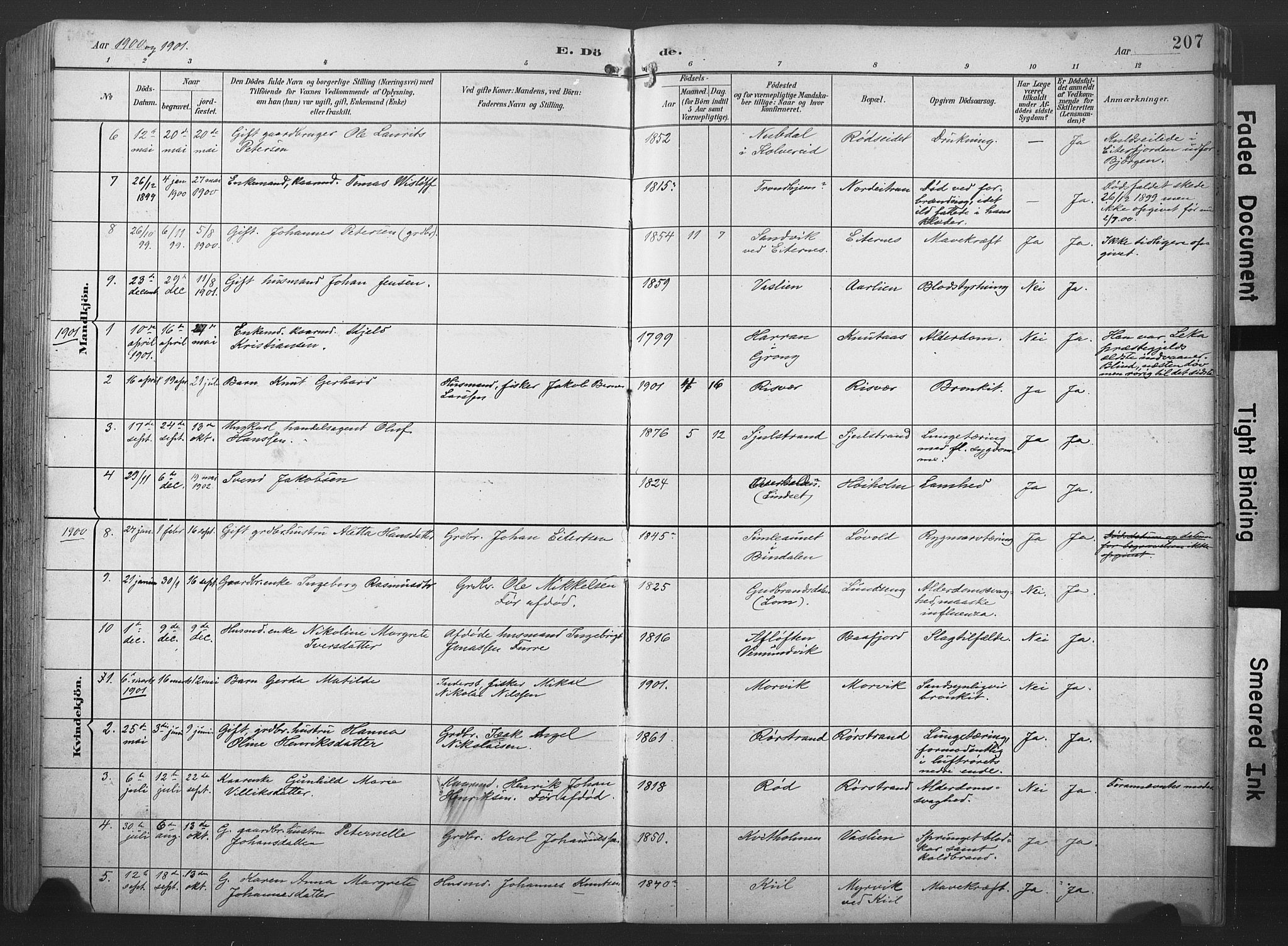 Ministerialprotokoller, klokkerbøker og fødselsregistre - Nord-Trøndelag, SAT/A-1458/789/L0706: Parish register (copy) no. 789C01, 1888-1931, p. 207