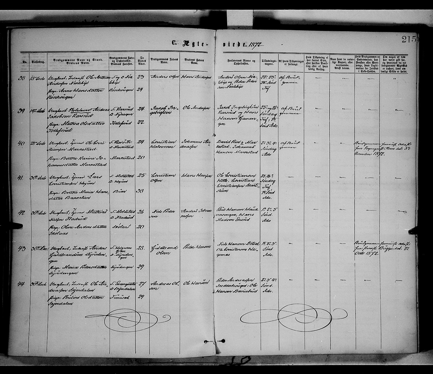 Vestre Toten prestekontor, SAH/PREST-108/H/Ha/Haa/L0008: Parish register (official) no. 8, 1870-1877, p. 215