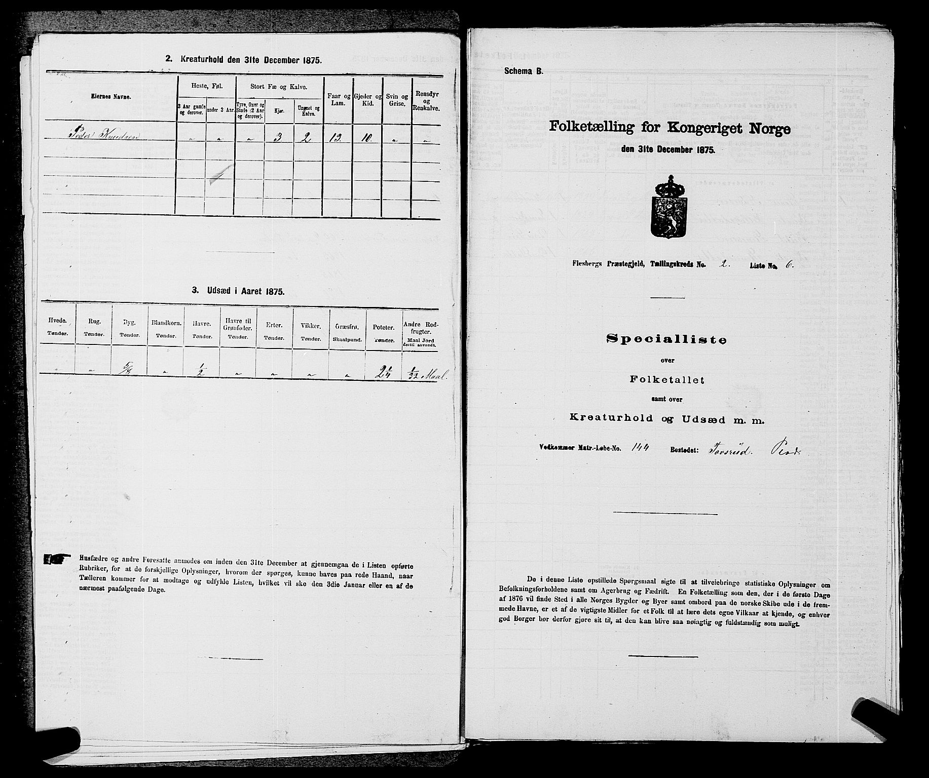 SAKO, 1875 census for 0631P Flesberg, 1875, p. 491