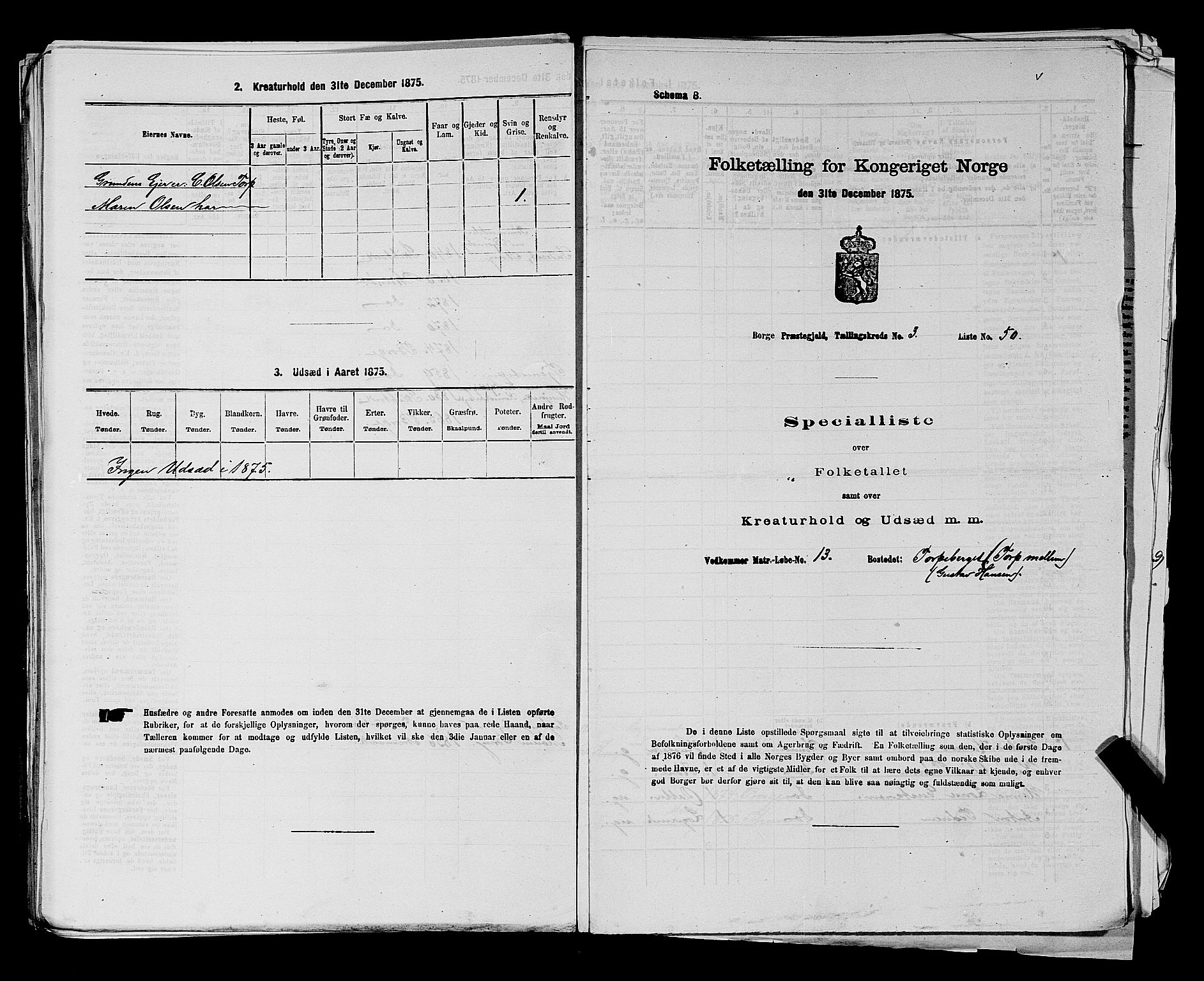 RA, 1875 census for 0113P Borge, 1875, p. 489