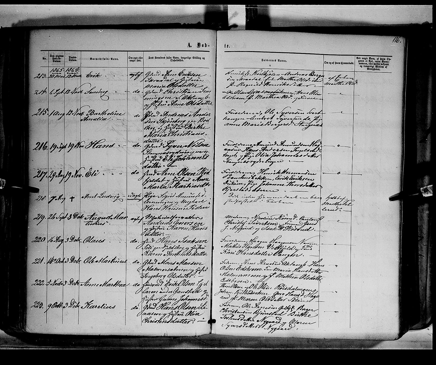 Eidskog prestekontor, AV/SAH-PREST-026/H/Ha/Haa/L0001: Parish register (official) no. 1, 1860-1867, p. 116