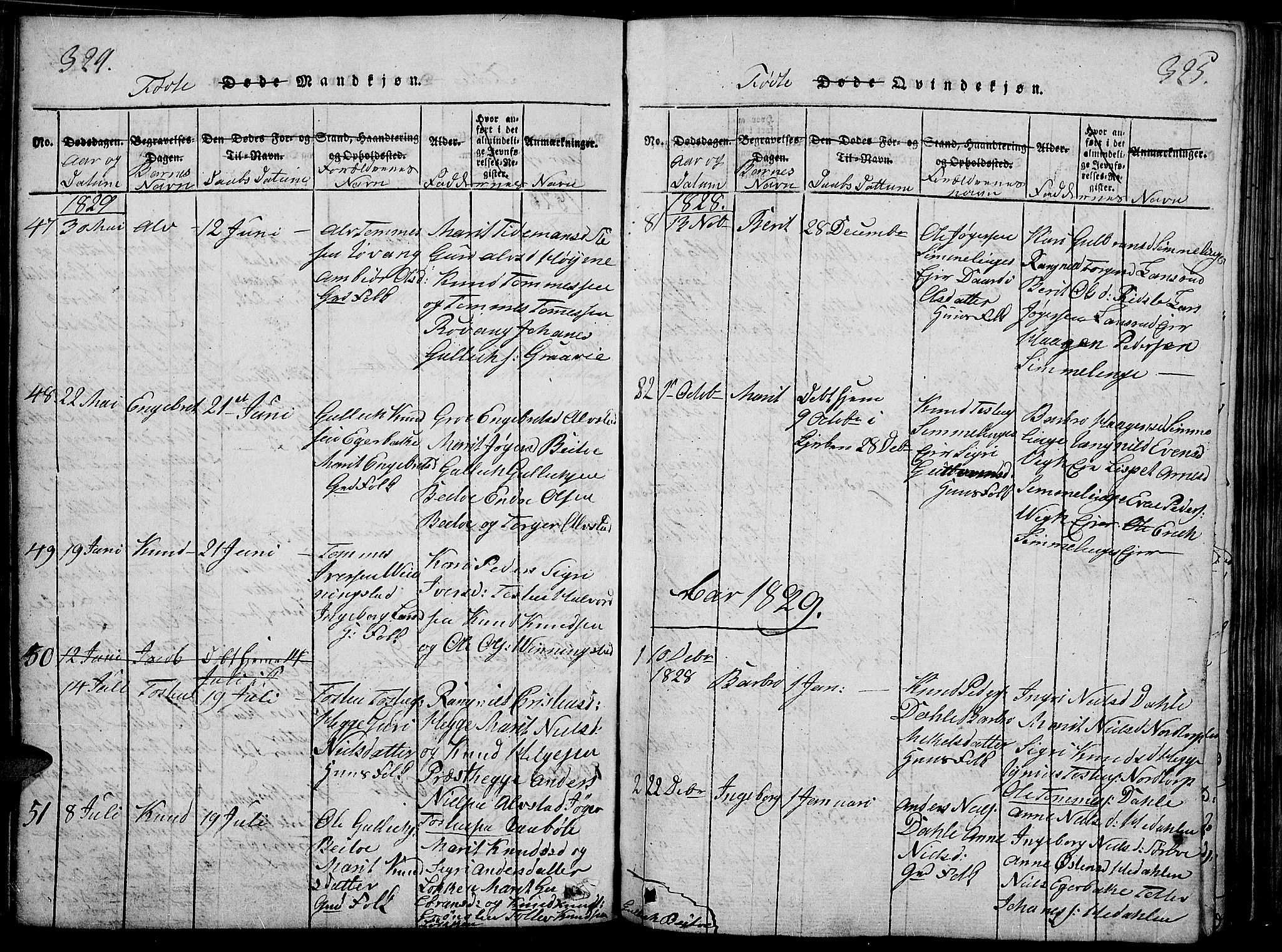 Slidre prestekontor, SAH/PREST-134/H/Ha/Haa/L0002: Parish register (official) no. 2, 1814-1830, p. 324-325