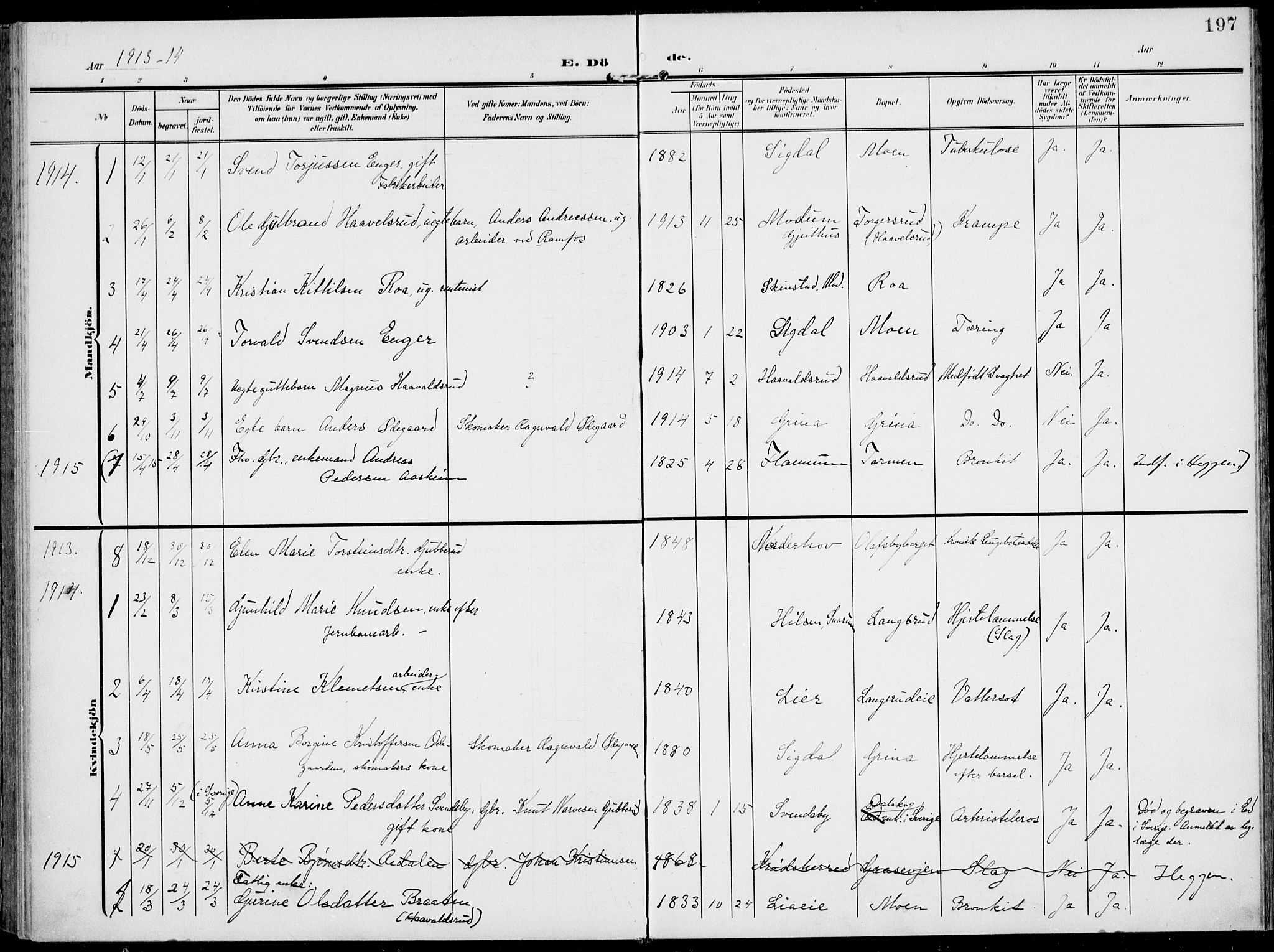 Modum kirkebøker, AV/SAKO-A-234/F/Fa/L0019: Parish register (official) no. 19, 1890-1914, p. 197