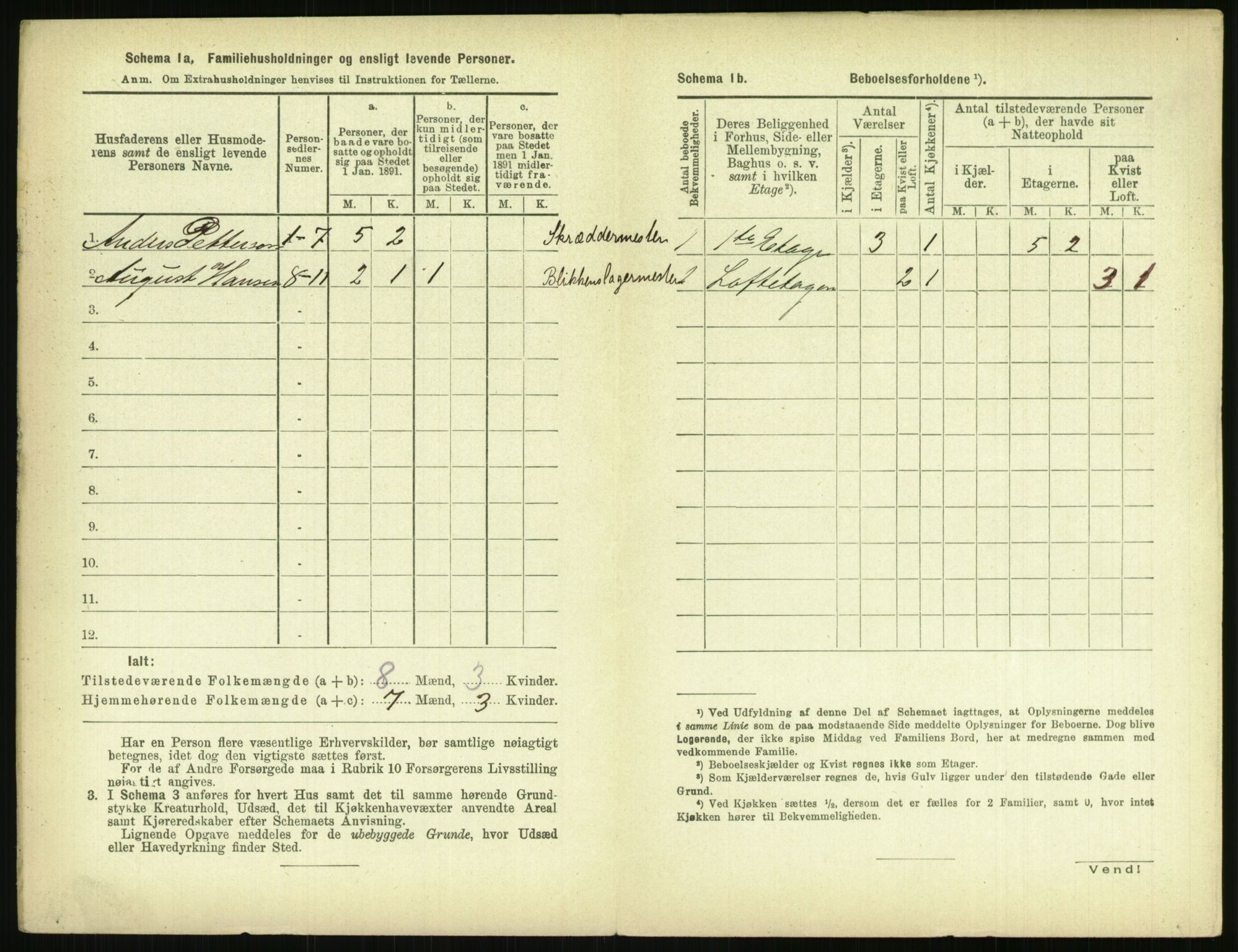 RA, 1891 census for 0806 Skien, 1891, p. 1003