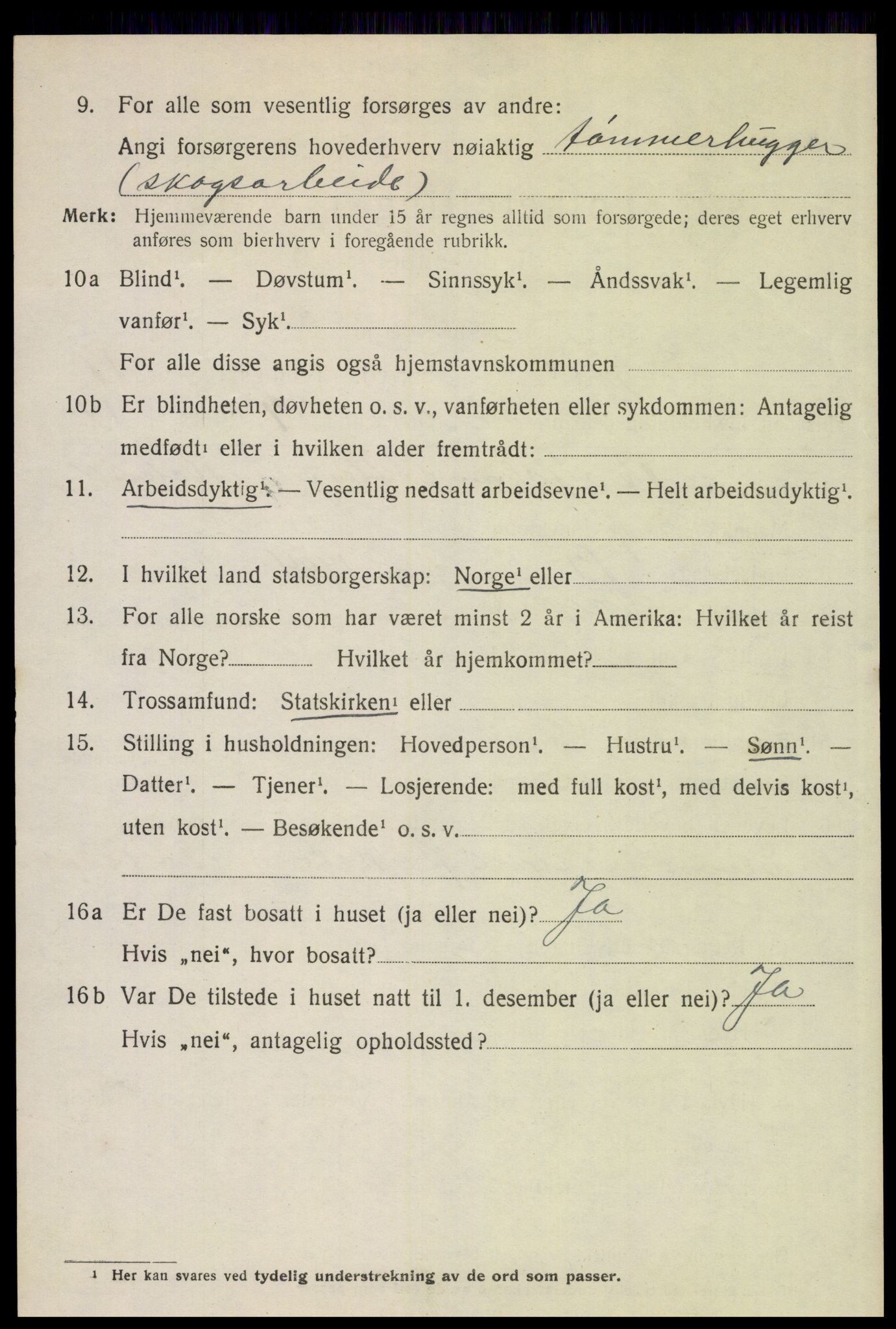 SAH, 1920 census for Trysil, 1920, p. 10604