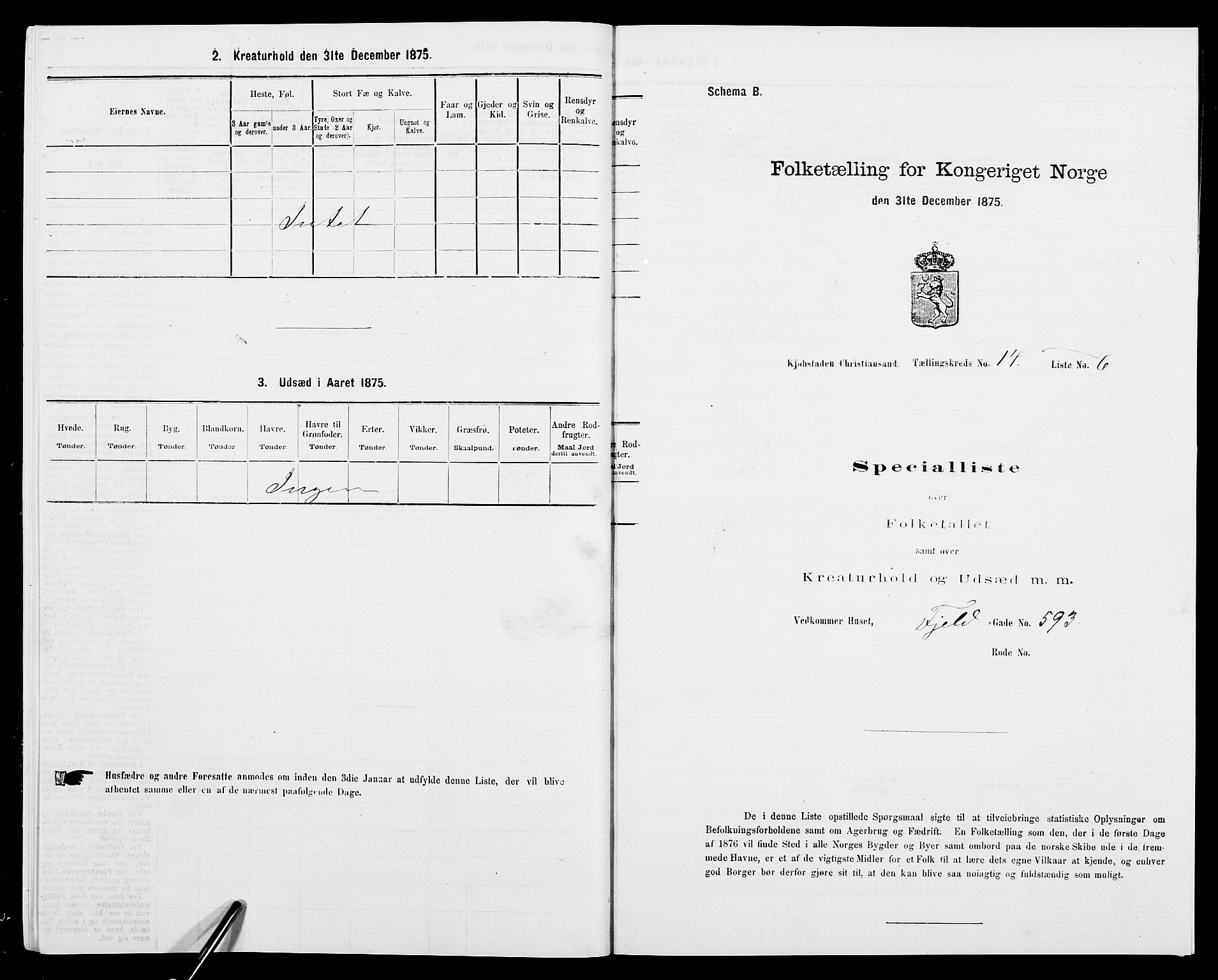 SAK, 1875 census for 1001P Kristiansand, 1875, p. 2186