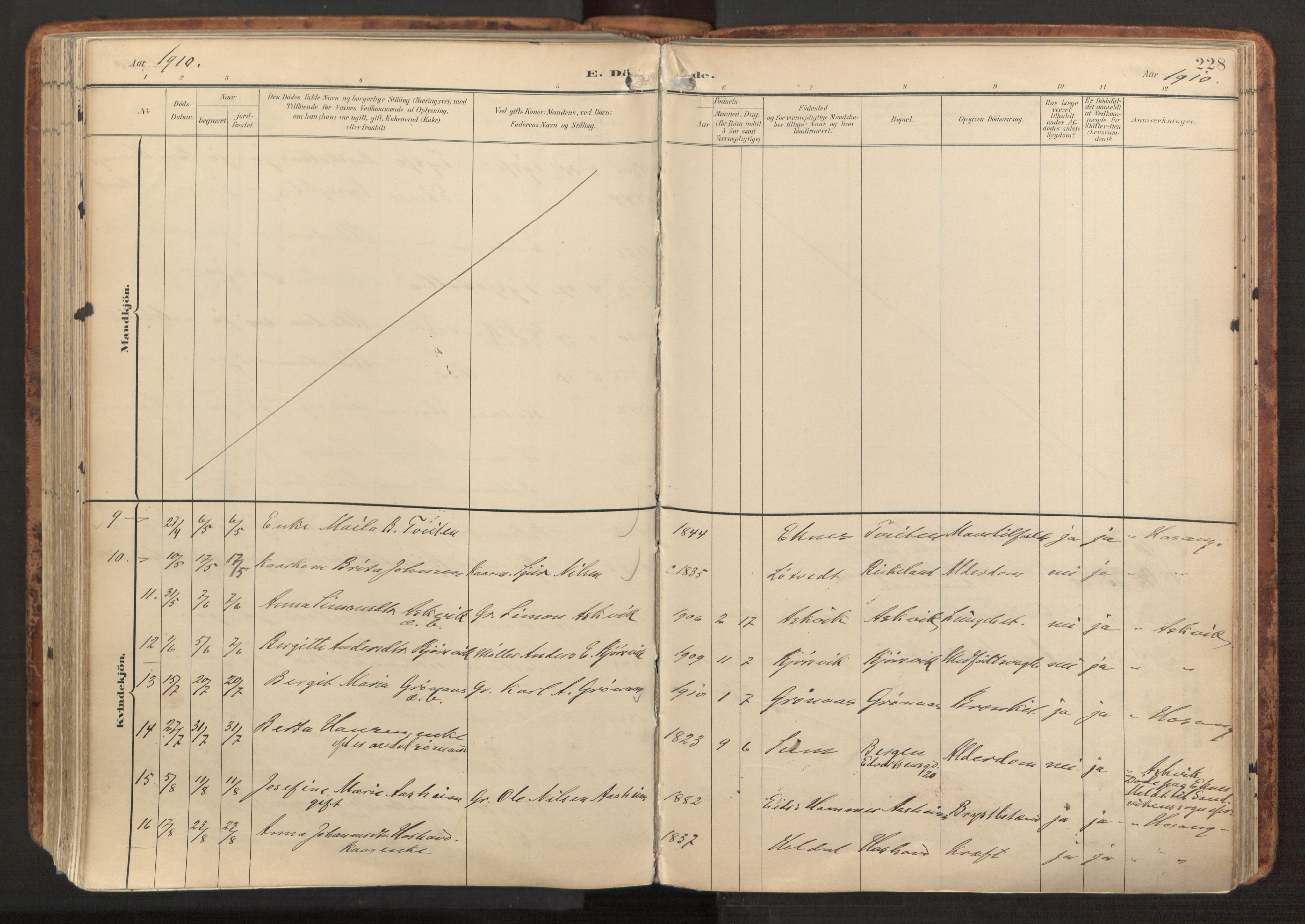 Hosanger sokneprestembete, AV/SAB-A-75801/H/Haa: Parish register (official) no. B 2, 1897-1923, p. 228