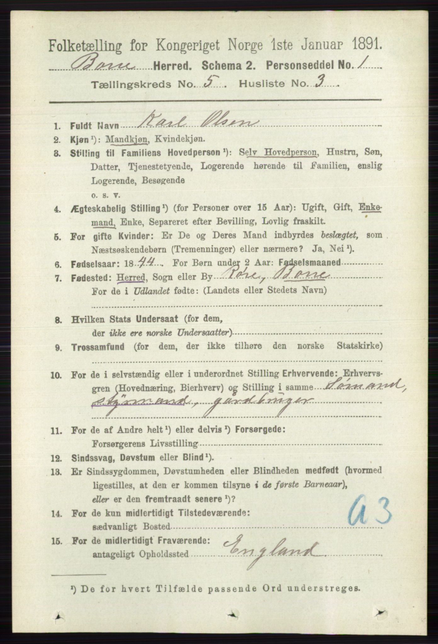 RA, 1891 census for 0717 Borre, 1891, p. 2025