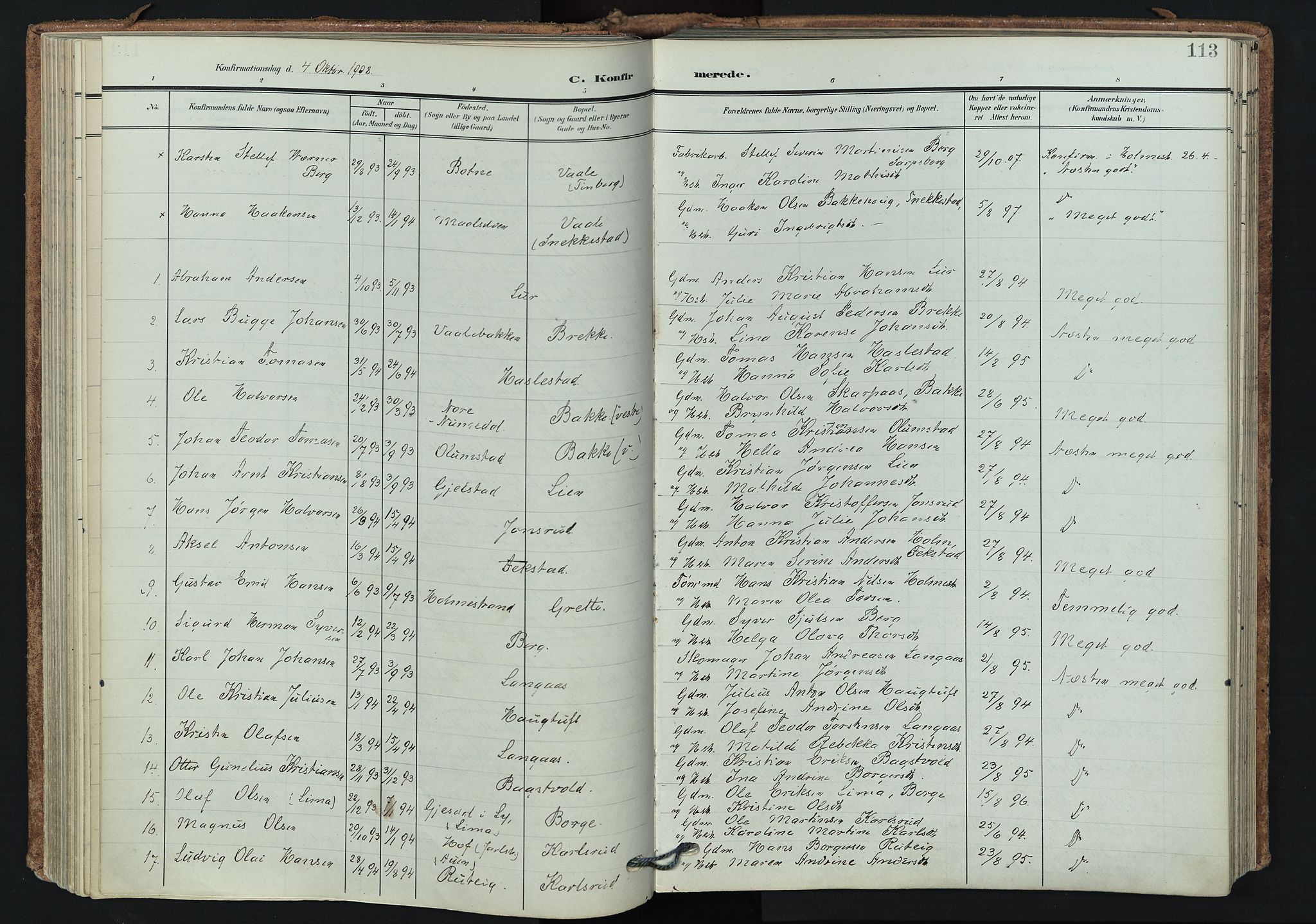 Våle kirkebøker, SAKO/A-334/F/Fa/L0012: Parish register (official) no. I 12, 1907-1934, p. 113