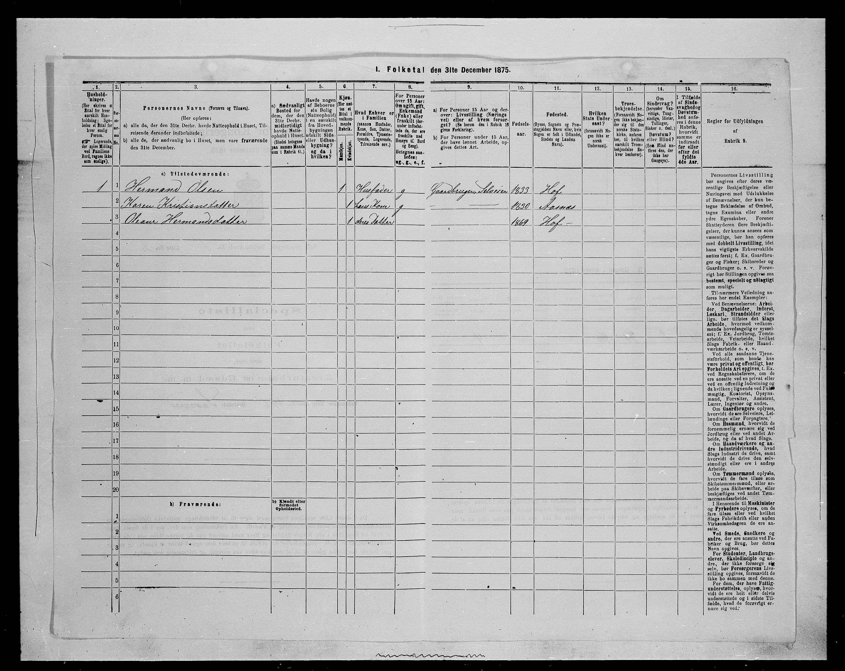 SAH, 1875 census for 0424P Hof, 1875, p. 13