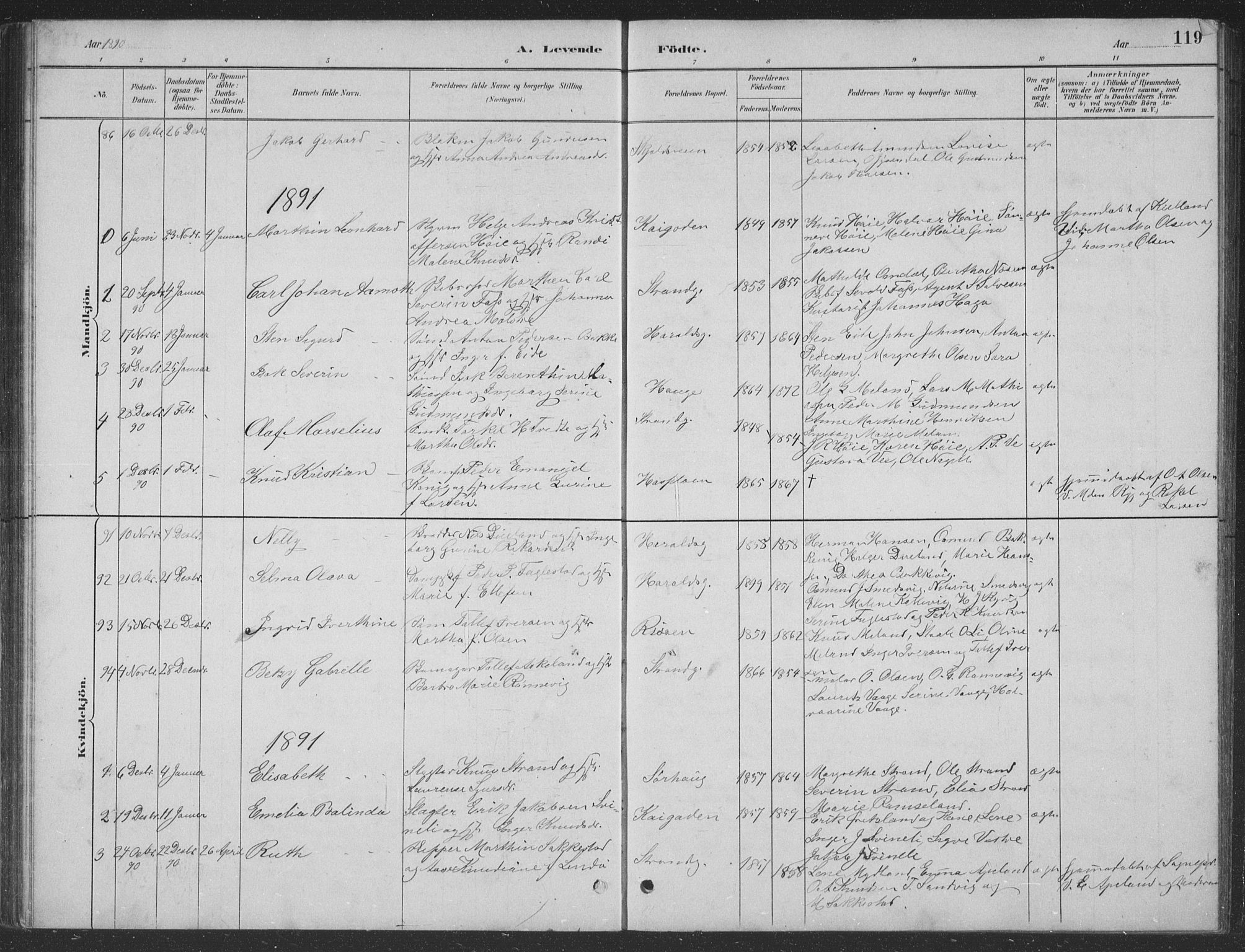 Haugesund sokneprestkontor, AV/SAST-A -101863/H/Ha/Hab/L0002: Parish register (copy) no. B 2, 1881-1894, p. 119