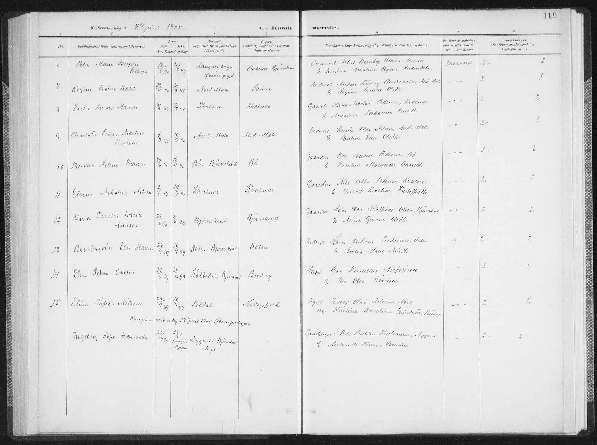 Ministerialprotokoller, klokkerbøker og fødselsregistre - Nordland, SAT/A-1459/897/L1400: Parish register (official) no. 897A07, 1897-1908, p. 119
