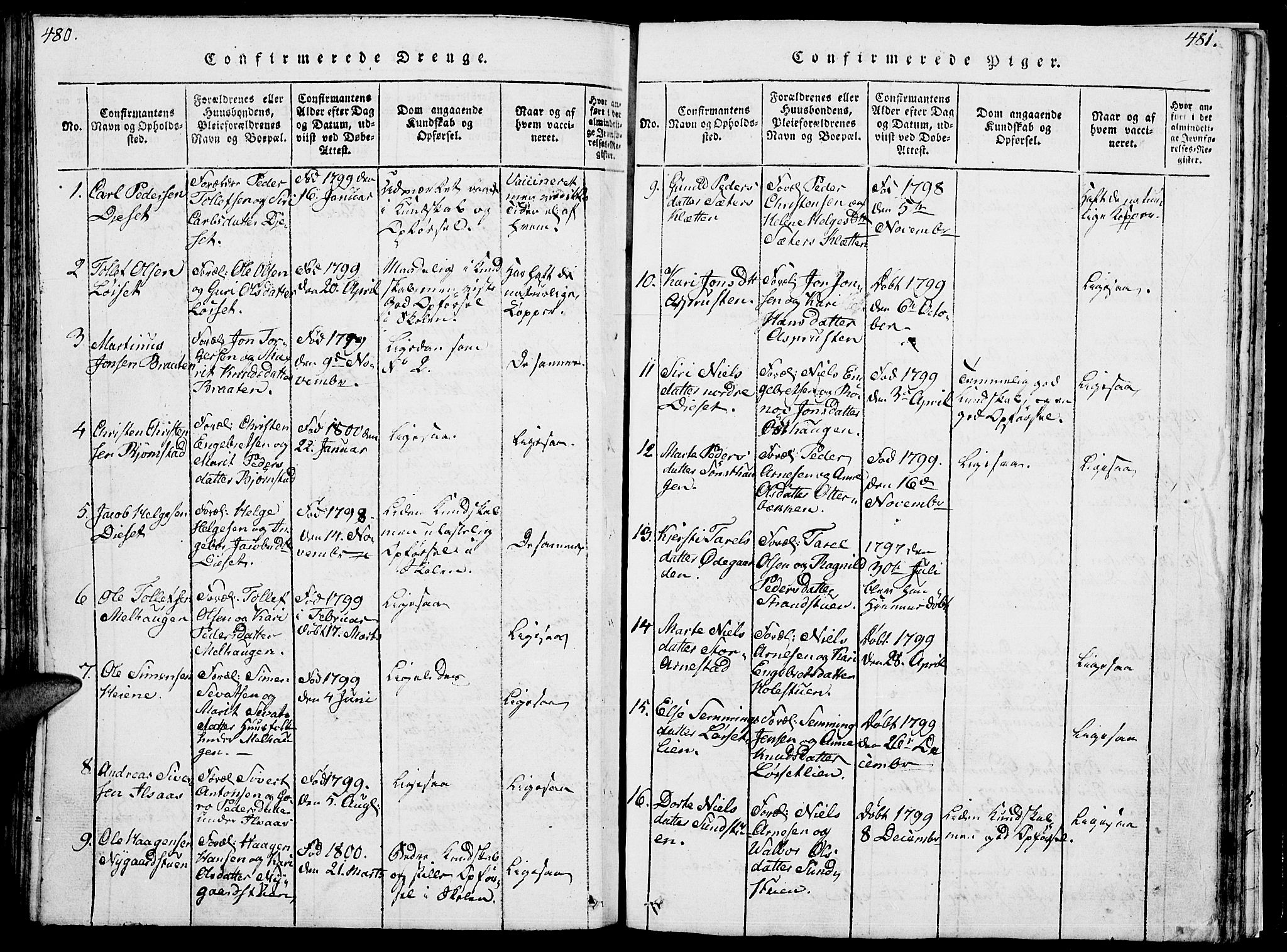 Åmot prestekontor, Hedmark, SAH/PREST-056/H/Ha/Hab/L0001: Parish register (copy) no. 1, 1815-1847, p. 480-481