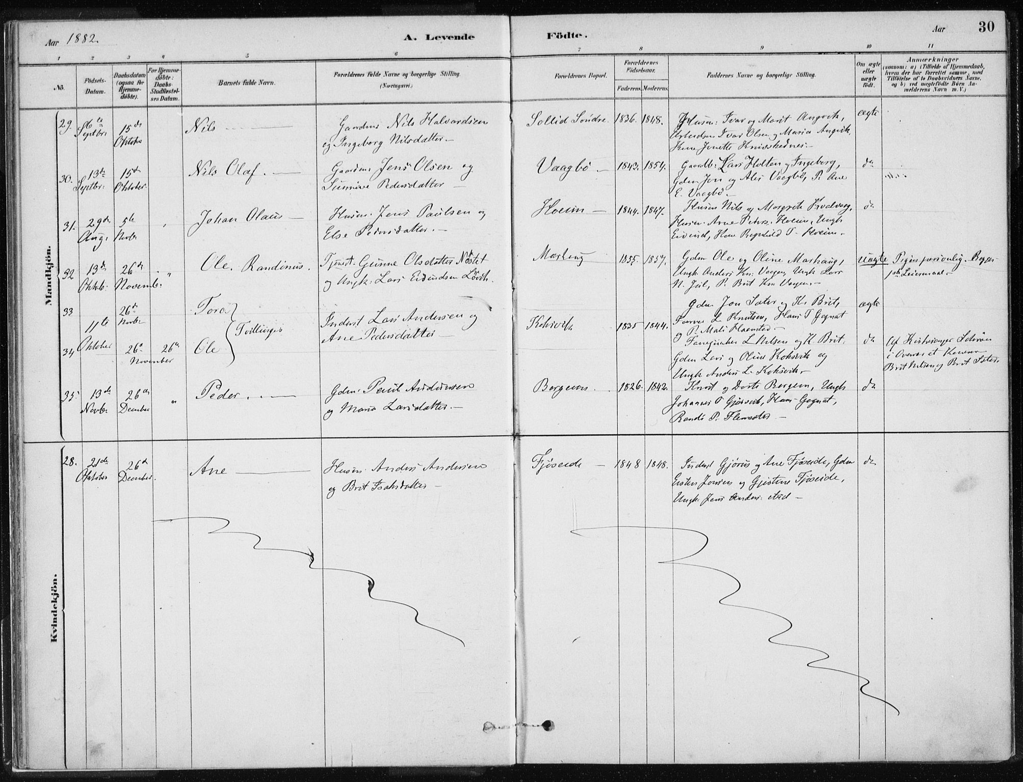 Ministerialprotokoller, klokkerbøker og fødselsregistre - Møre og Romsdal, AV/SAT-A-1454/586/L0987: Parish register (official) no. 586A13, 1879-1892, p. 30