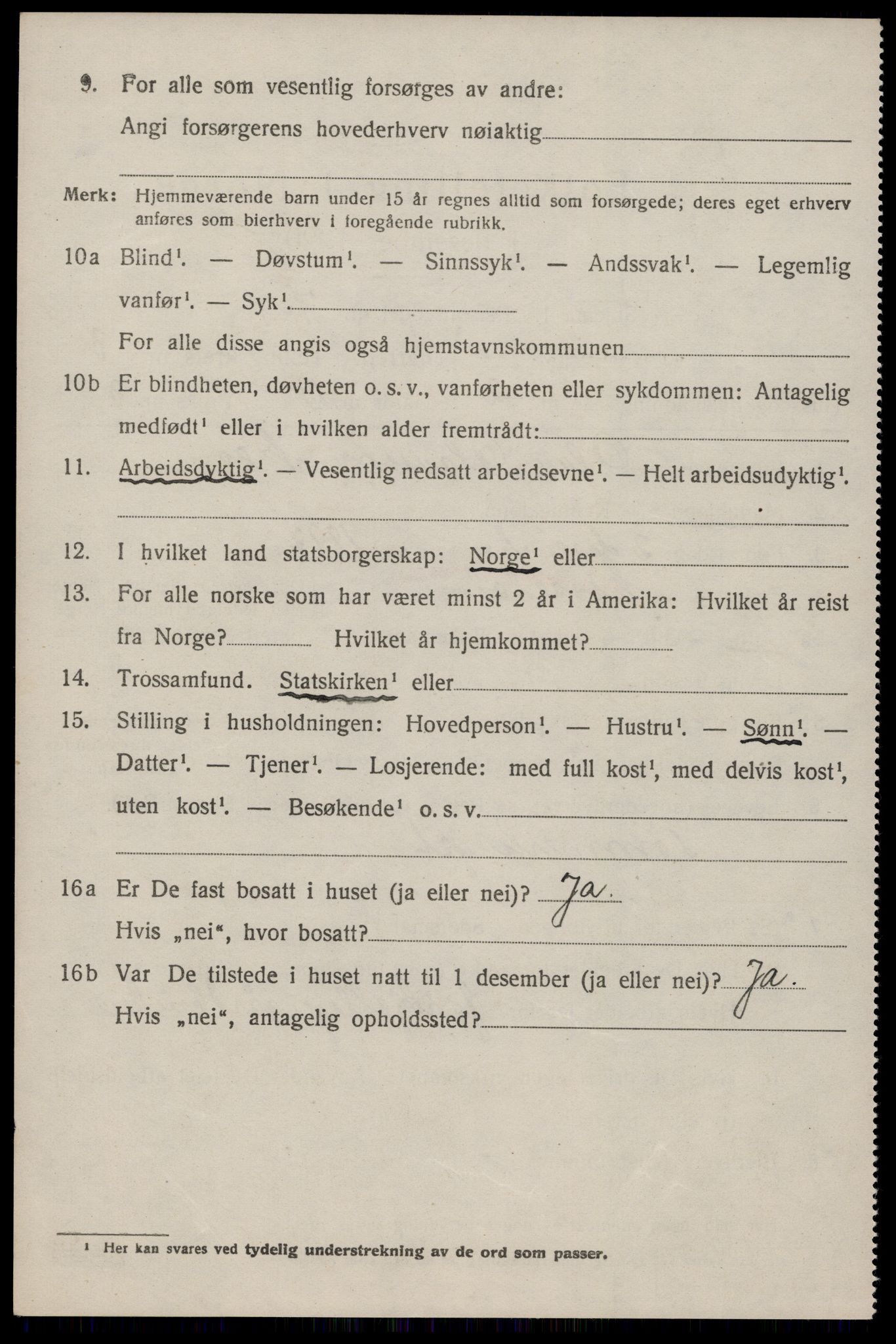 SAKO, 1920 census for Nissedal, 1920, p. 1516