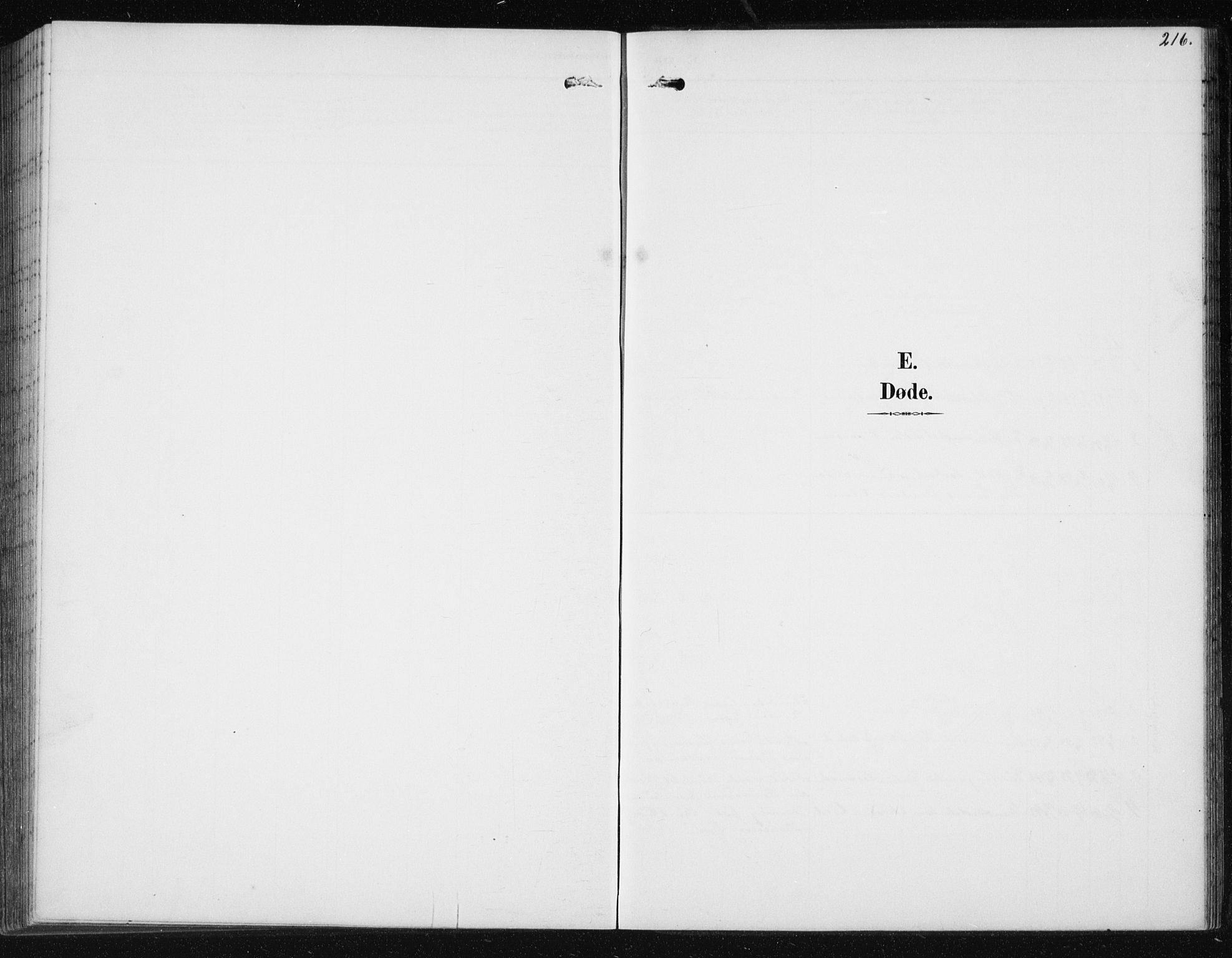 Ministerialprotokoller, klokkerbøker og fødselsregistre - Møre og Romsdal, SAT/A-1454/566/L0773: Parish register (copy) no. 566C02, 1892-1909, p. 216