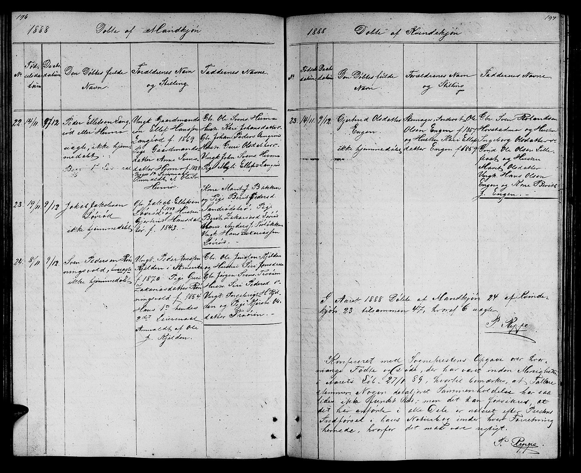 Ministerialprotokoller, klokkerbøker og fødselsregistre - Sør-Trøndelag, AV/SAT-A-1456/688/L1027: Parish register (copy) no. 688C02, 1861-1889, p. 196-197